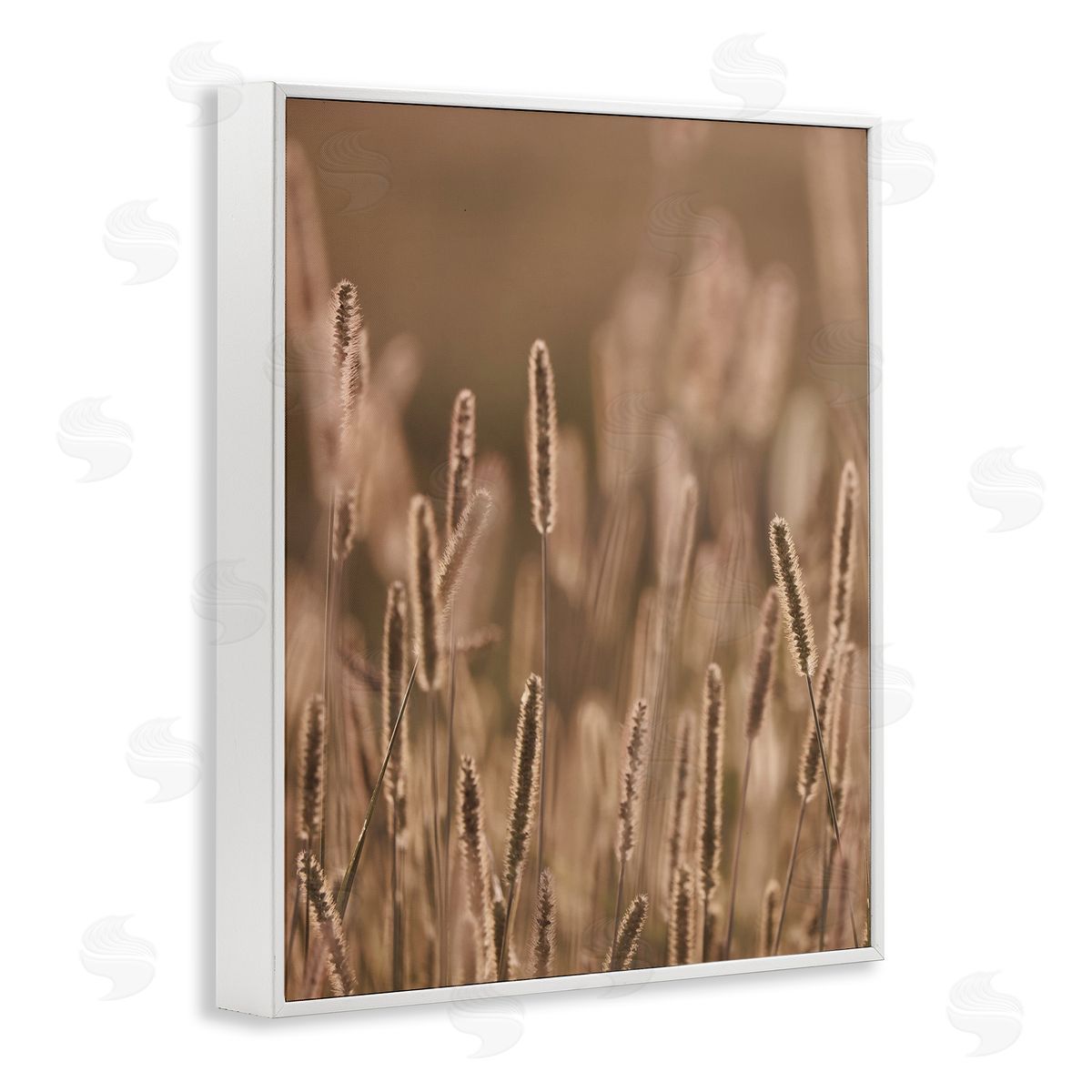 Stupell Studio Rural Wheat Field Nature