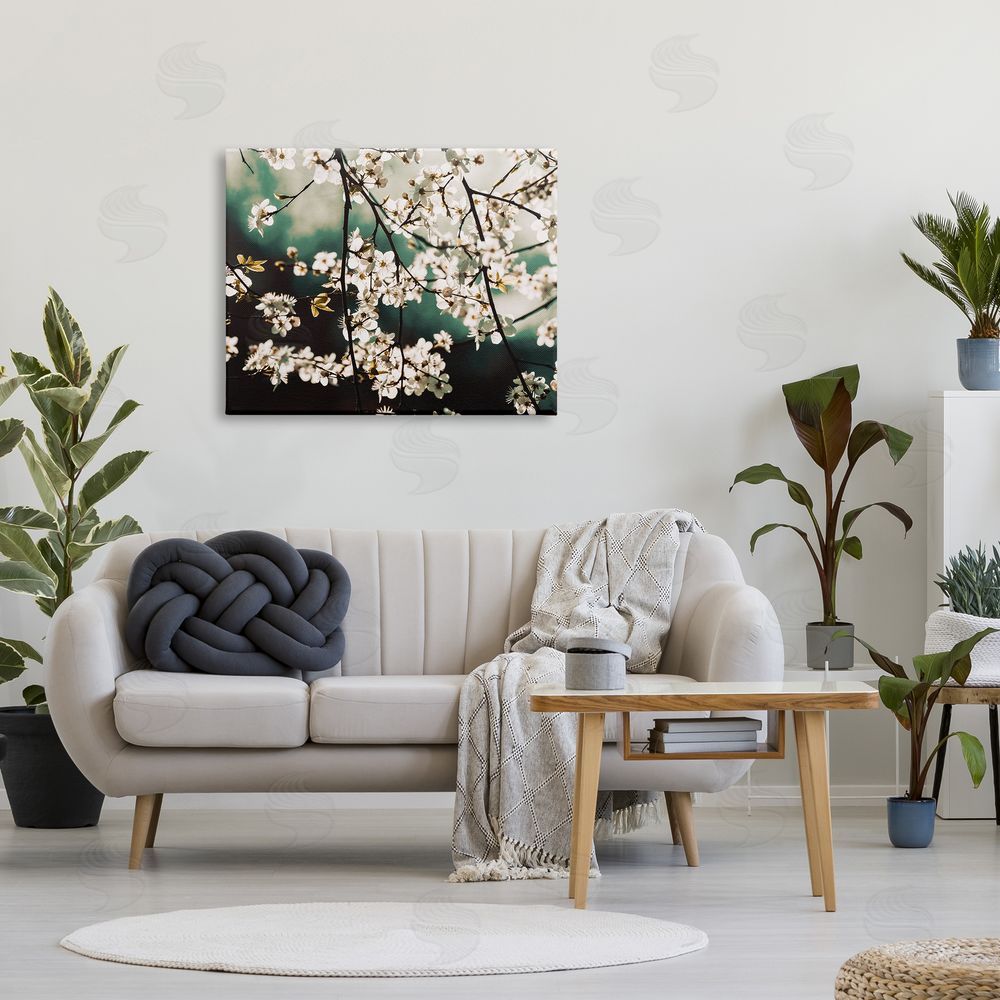 Stupell Studio Cherry Blossom Nature Photography