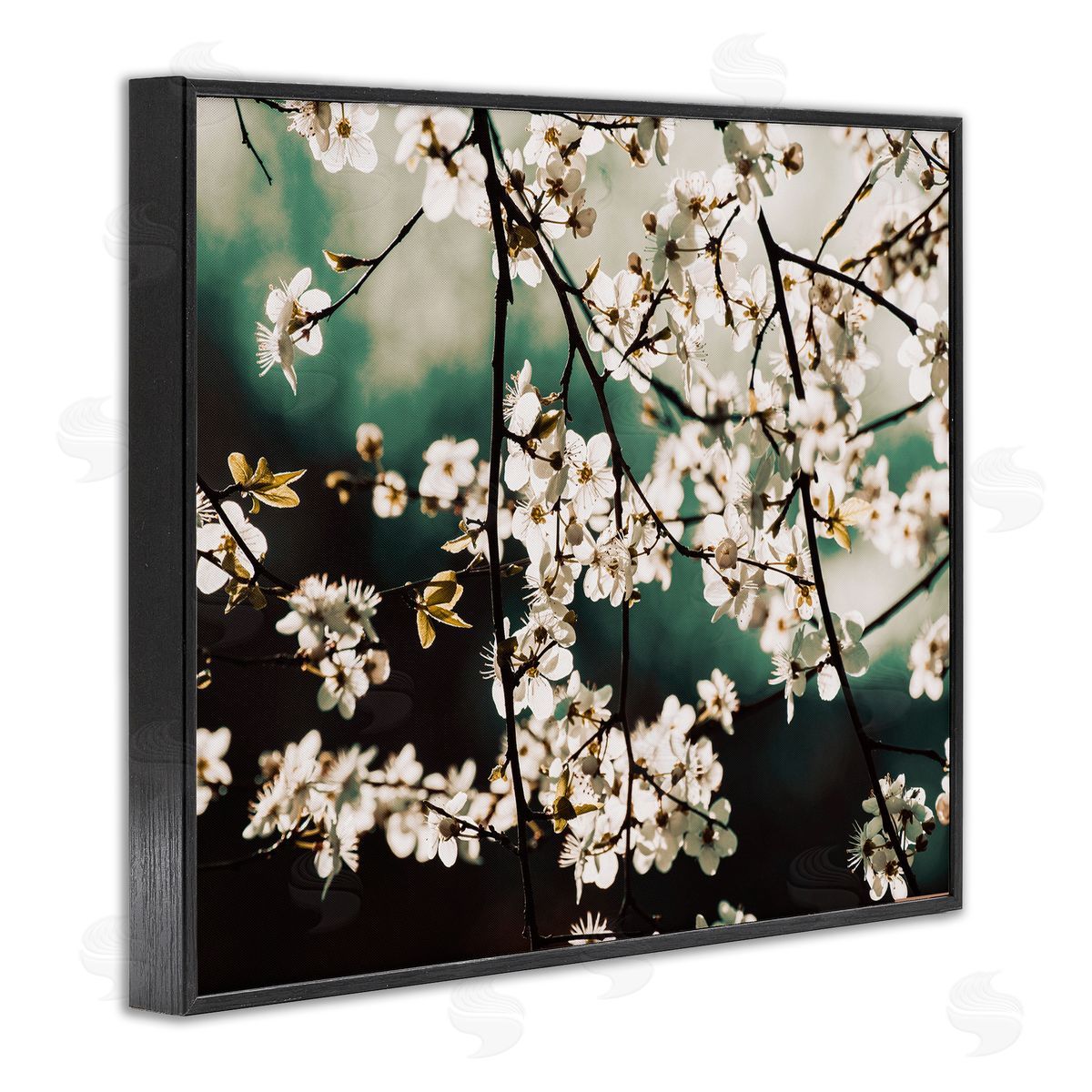 Stupell Studio Cherry Blossom Nature Photography