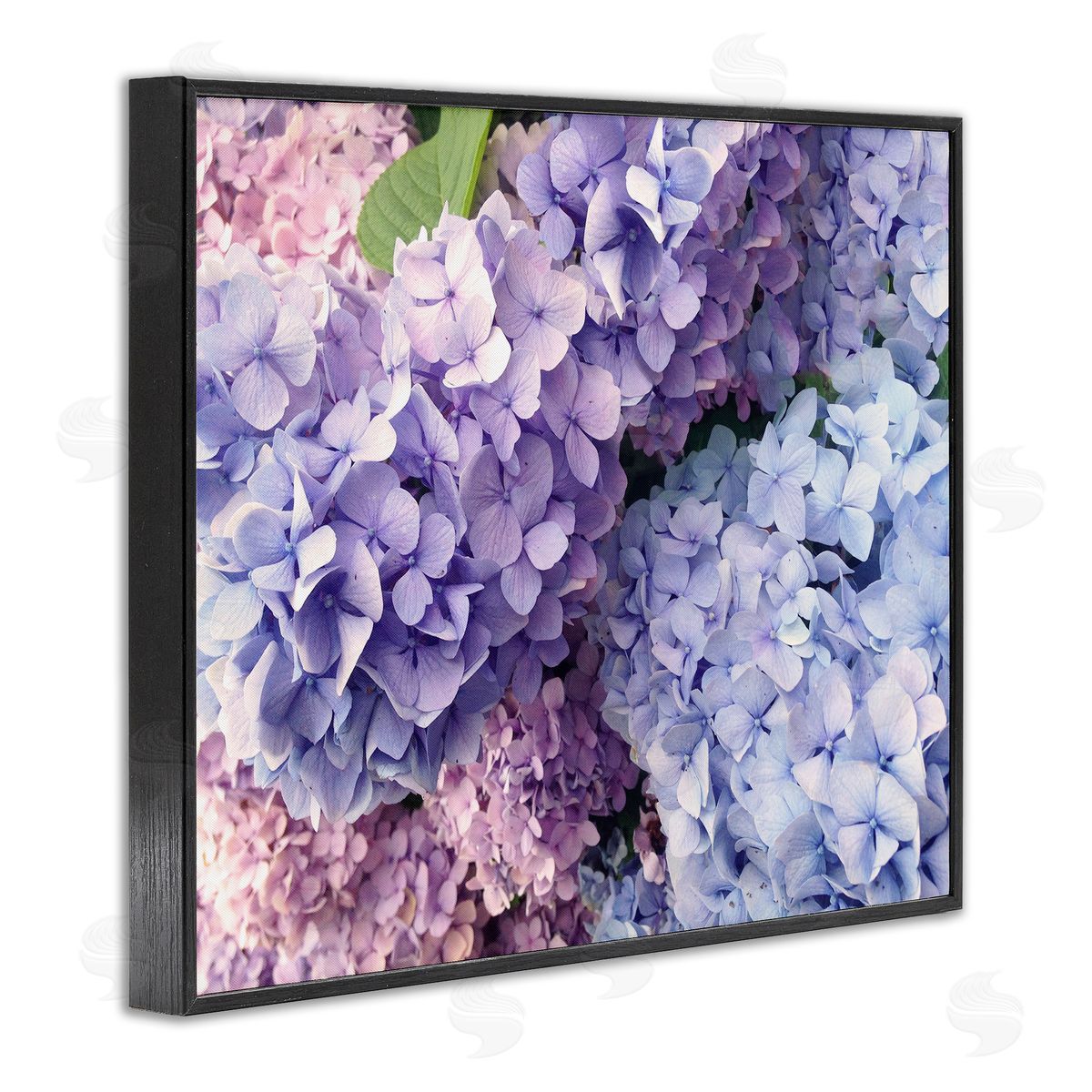 Pastel Hydrangea Flower Petals Black Frame Print Wall Art, Home Decor by Stupell Studio
