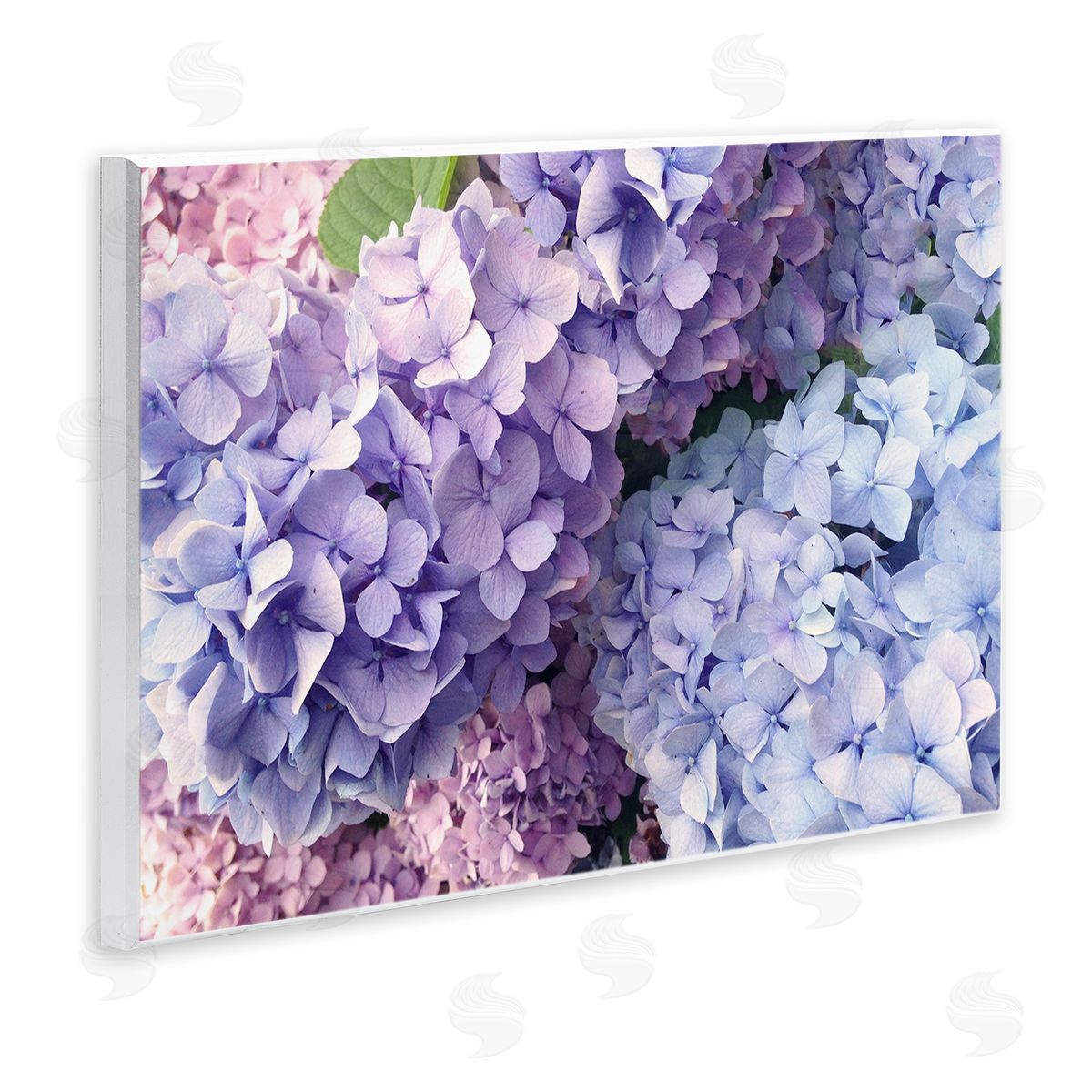 Pastel Hydrangea Flower Petals Wood Plaque Wall Art, Home Decor by Stupell Studio