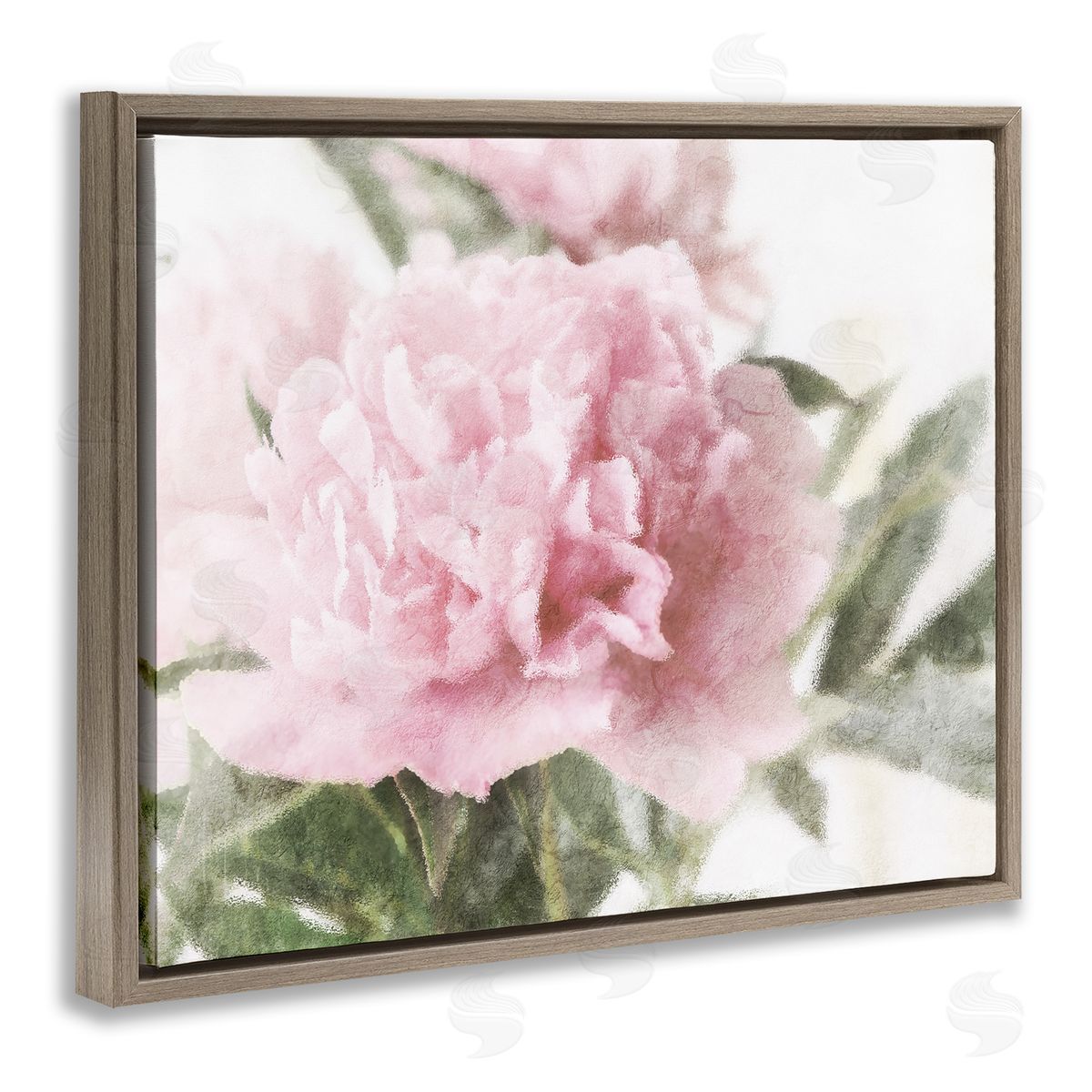 Stupell Studio Soft Pink Carnation Blossom