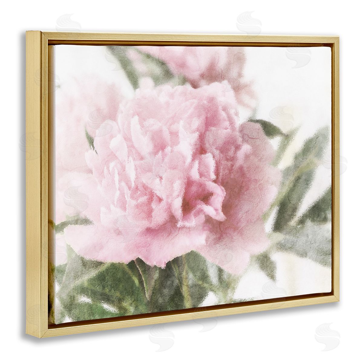 Stupell Studio Soft Pink Carnation Blossom