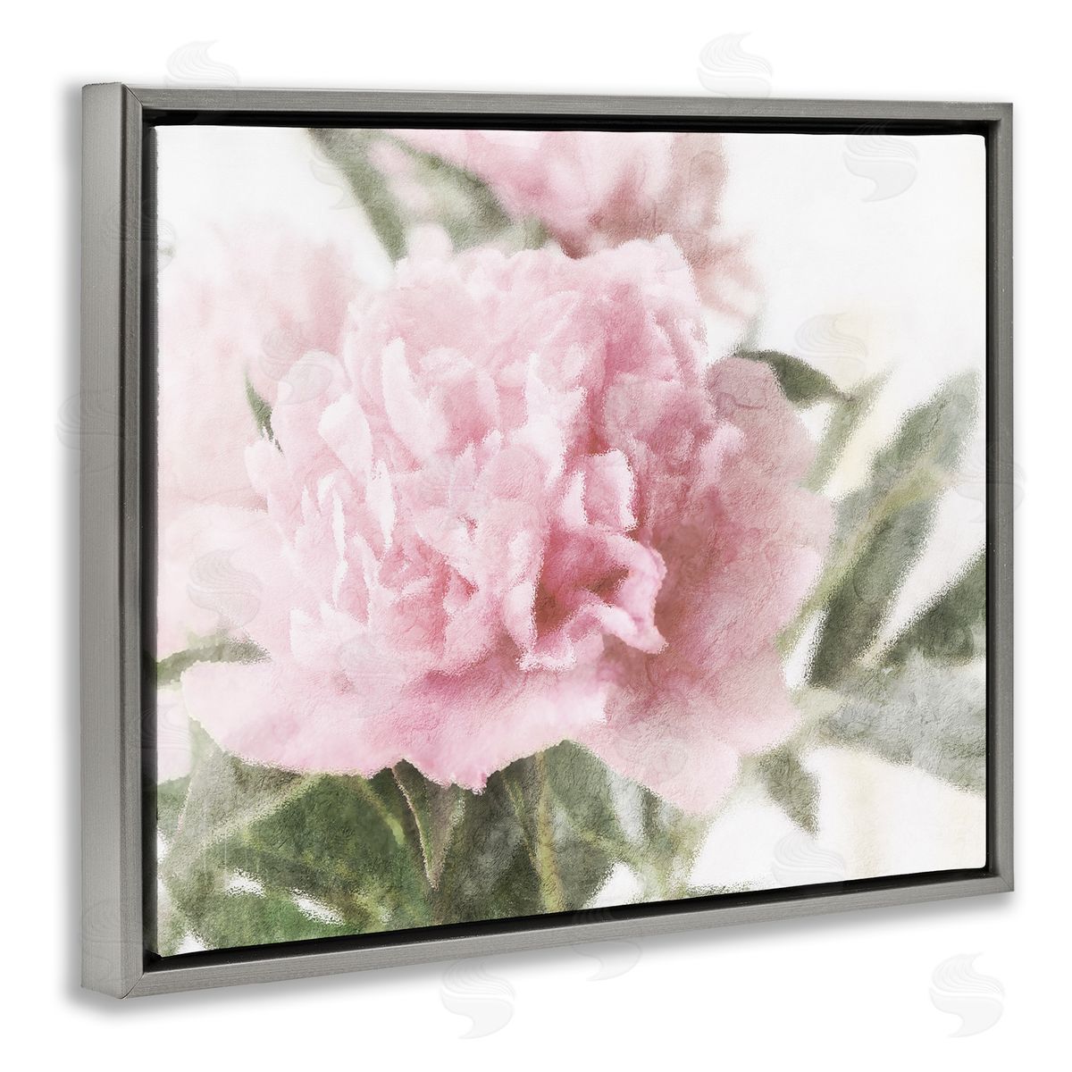 Stupell Studio Soft Pink Carnation Blossom
