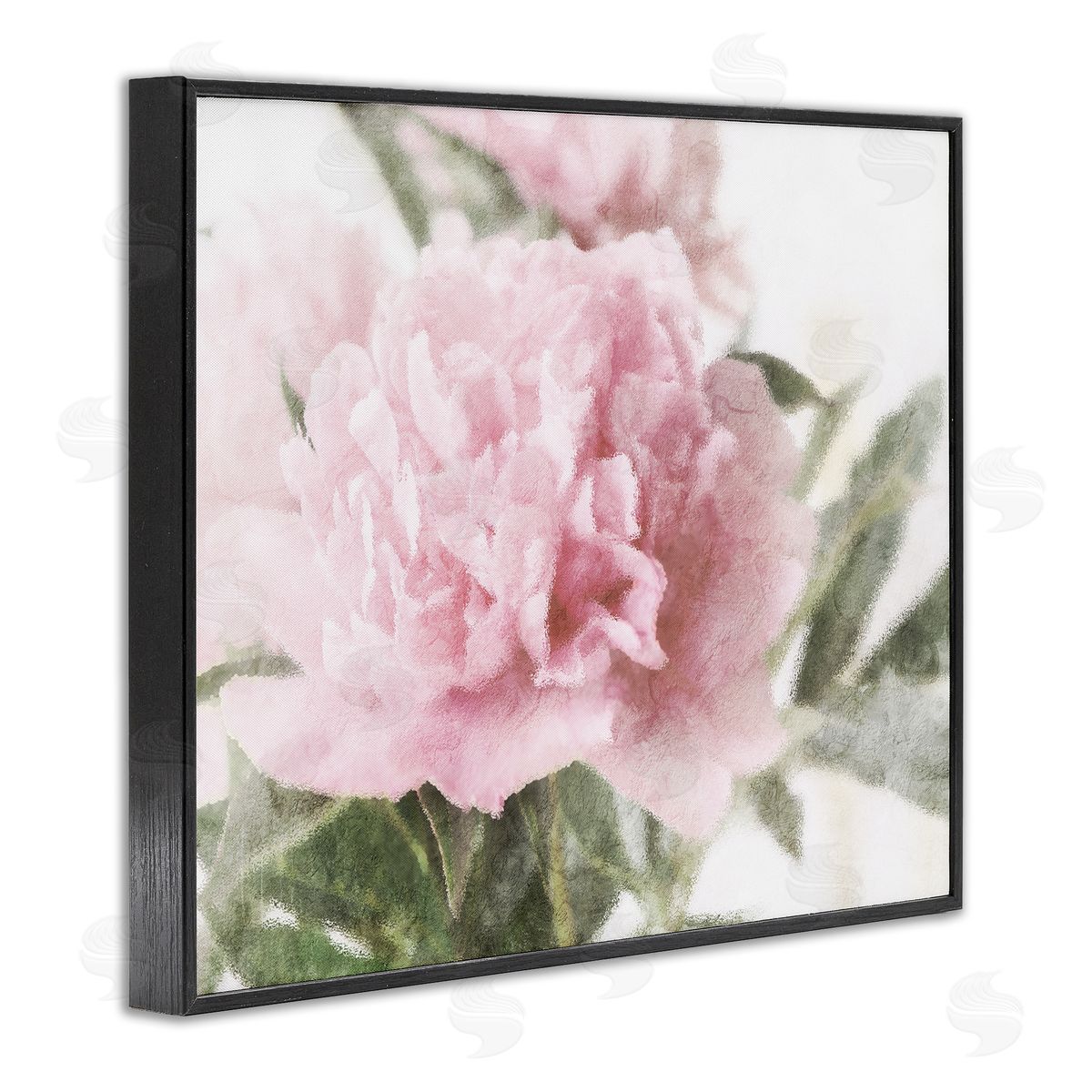 Stupell Studio Soft Pink Carnation Blossom