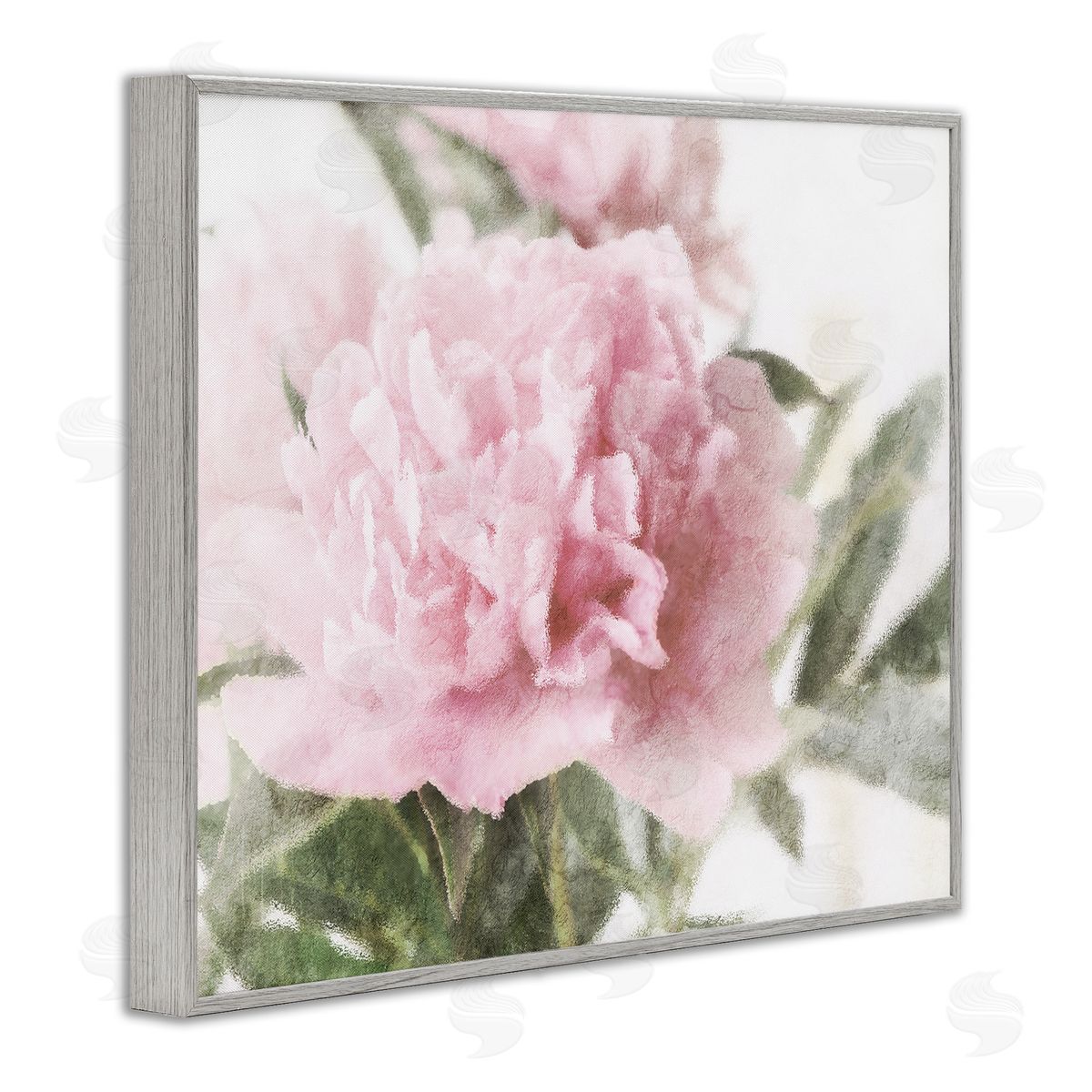 Stupell Studio Soft Pink Carnation Blossom