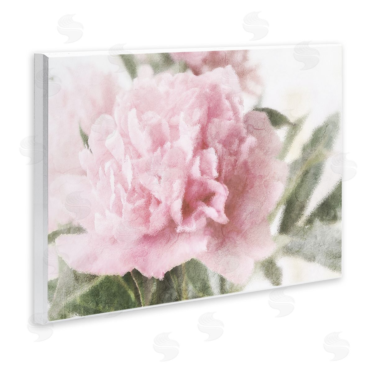 Stupell Studio Soft Pink Carnation Blossom