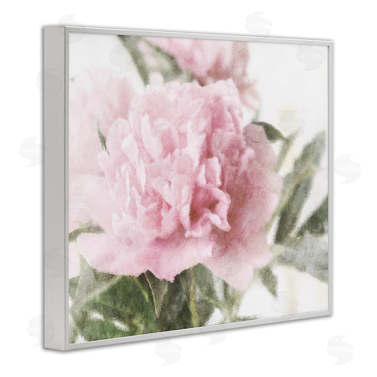 Stupell Studio Soft Pink Carnation Blossom