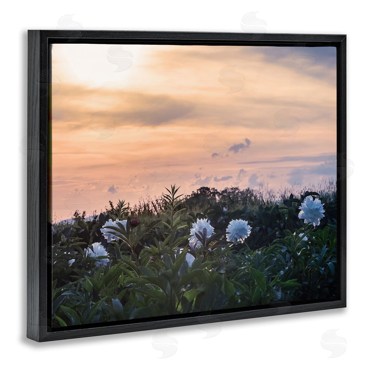 Stupell Studio Wildflower Blossoms Sunset Sky