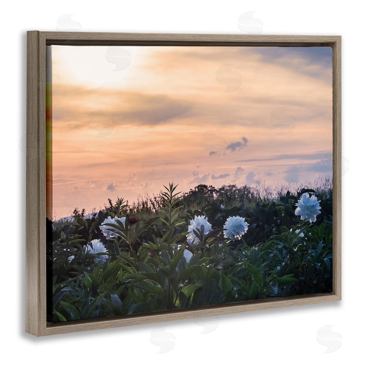 Stupell Studio Wildflower Blossoms Sunset Sky