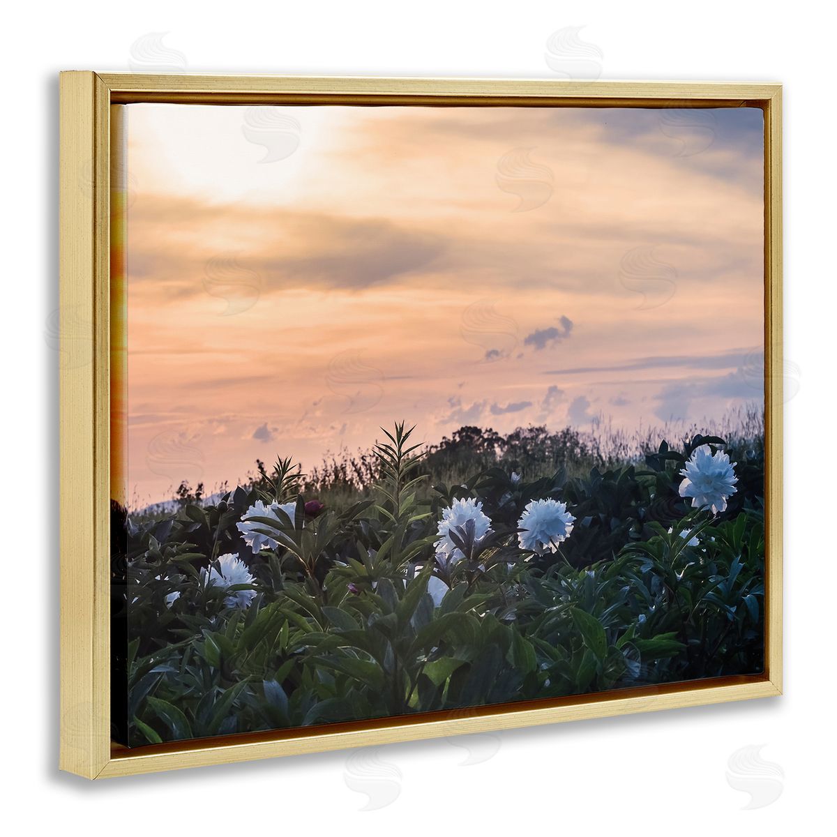 Stupell Studio Wildflower Blossoms Sunset Sky