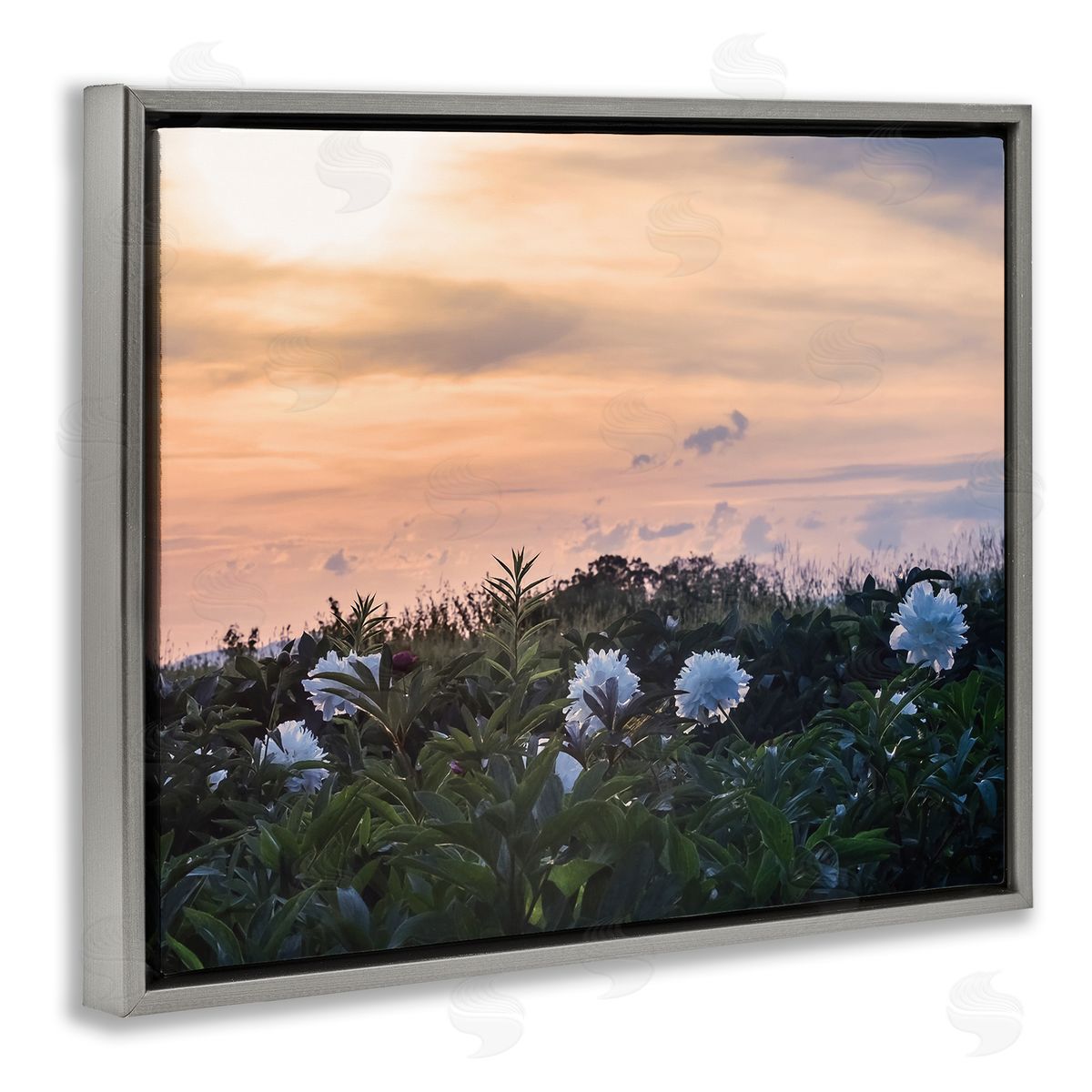 Stupell Studio Wildflower Blossoms Sunset Sky