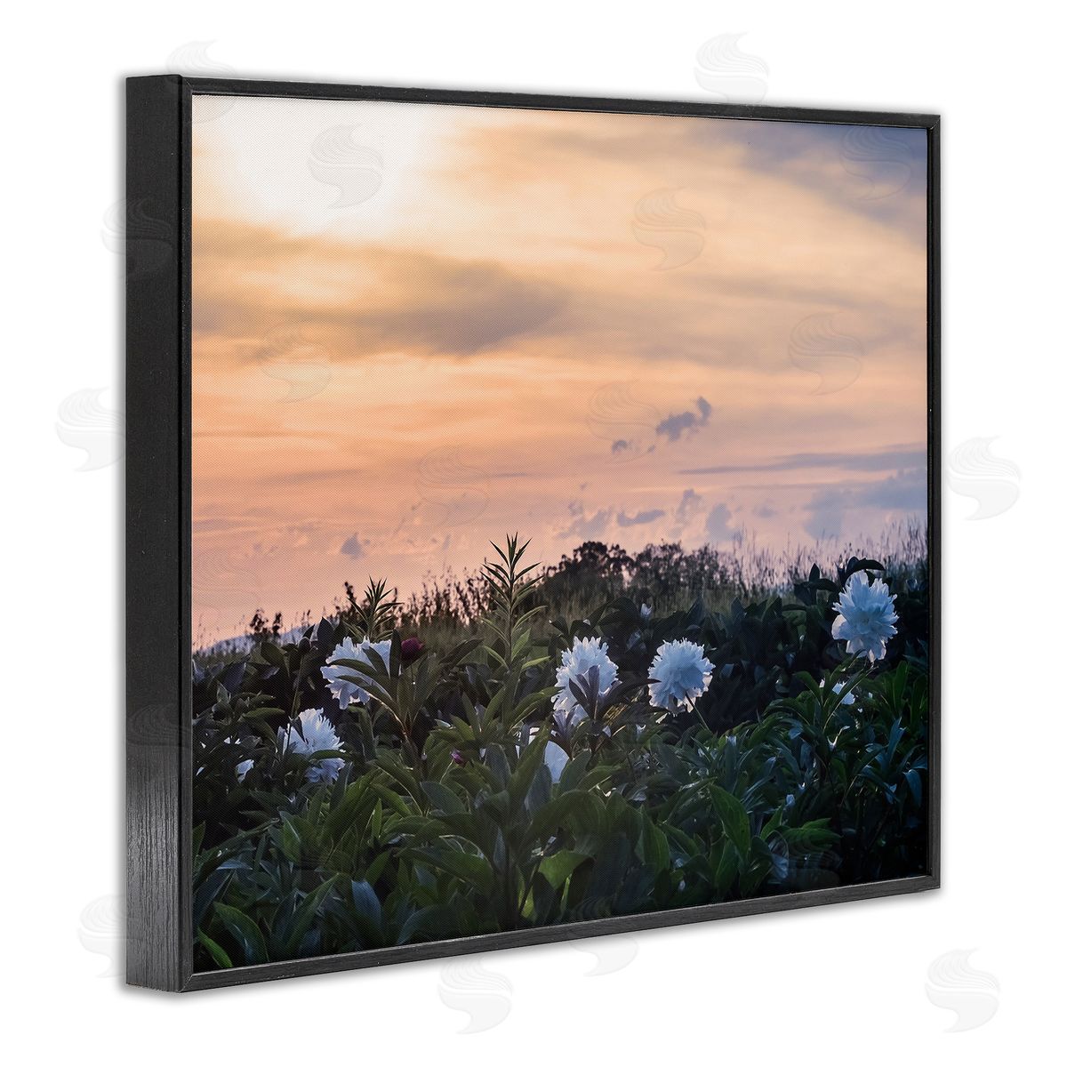 Stupell Studio Wildflower Blossoms Sunset Sky