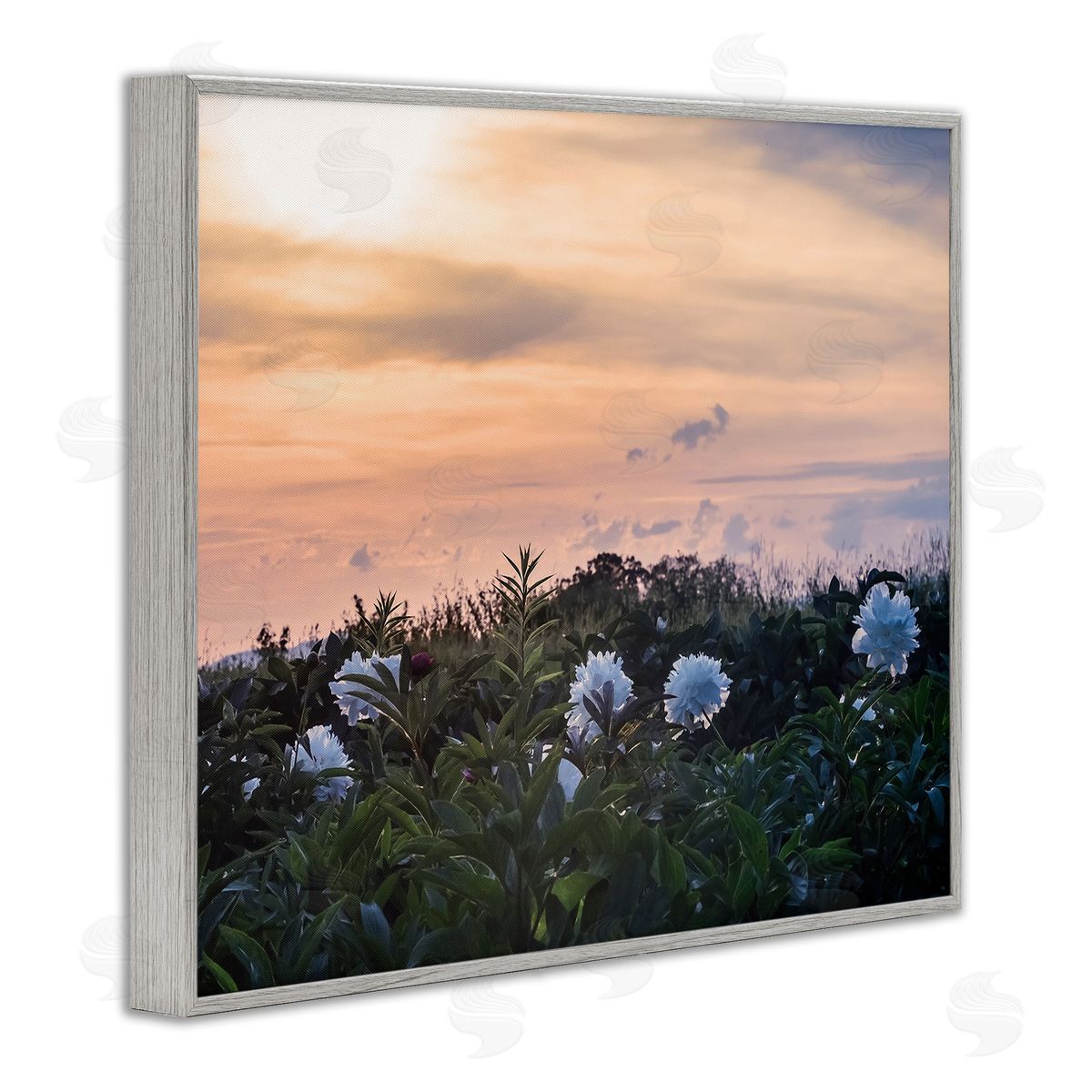 Stupell Studio Wildflower Blossoms Sunset Sky
