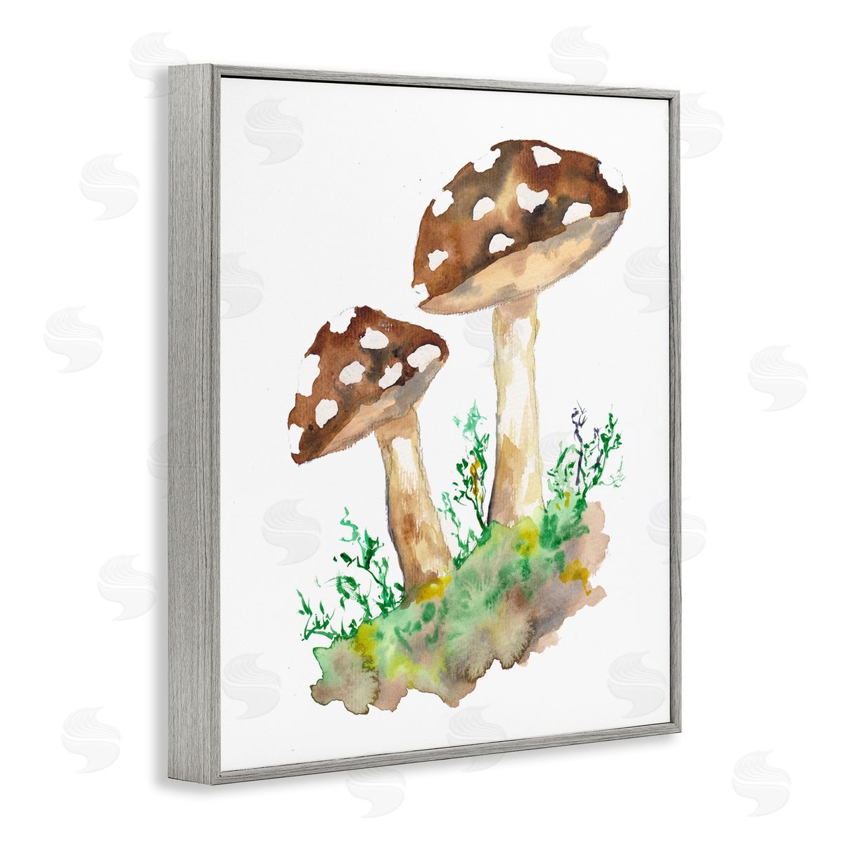 Sebastian Grafmann Spotted Mushroom Forest Plant