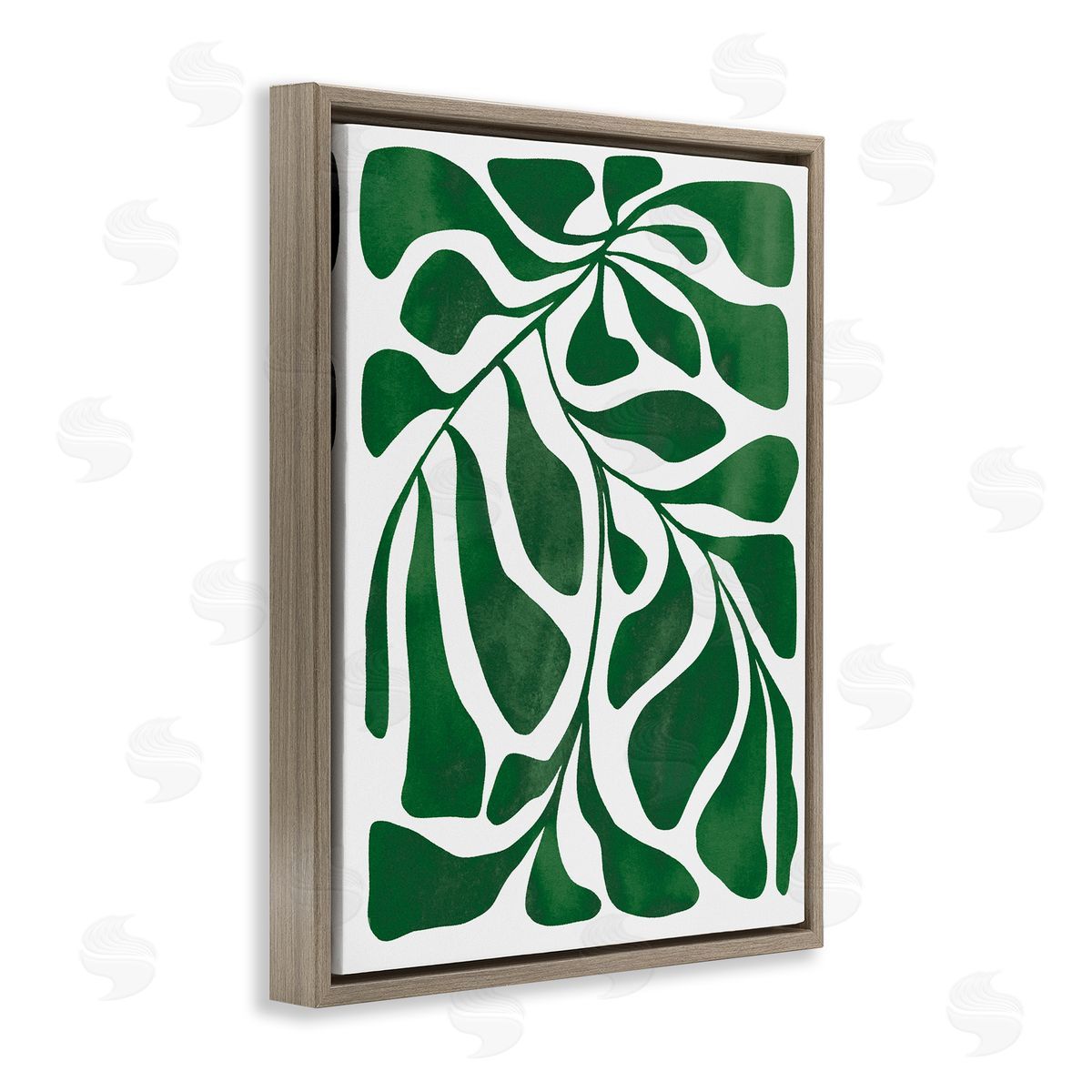 Ziwei Li Abstract Plant Leaf Shapes