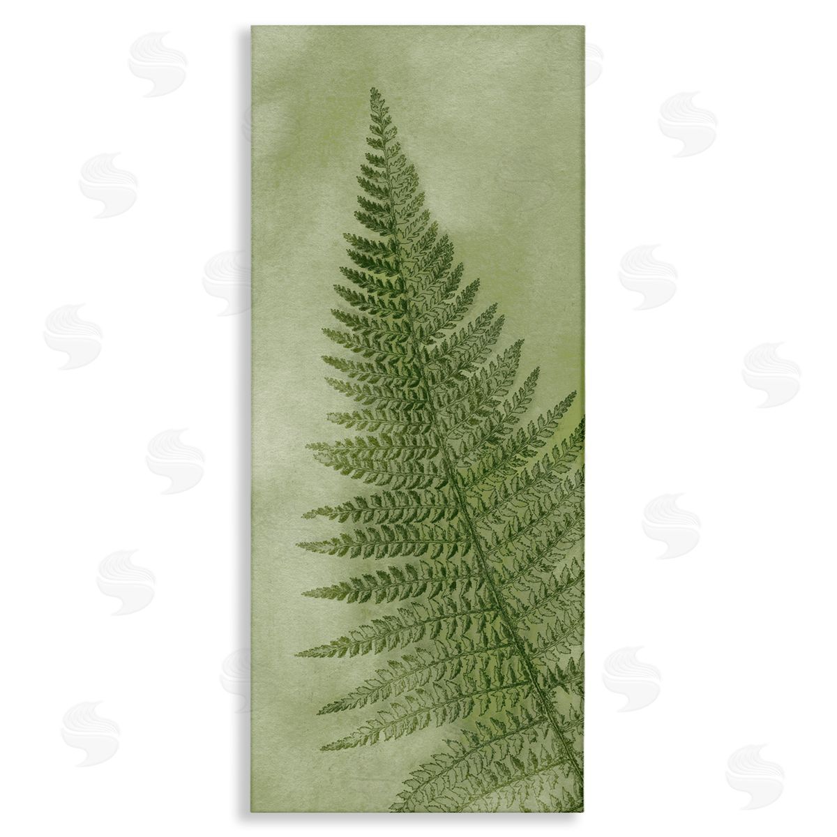 Ziwei Li Detailed Green Fern Leaf