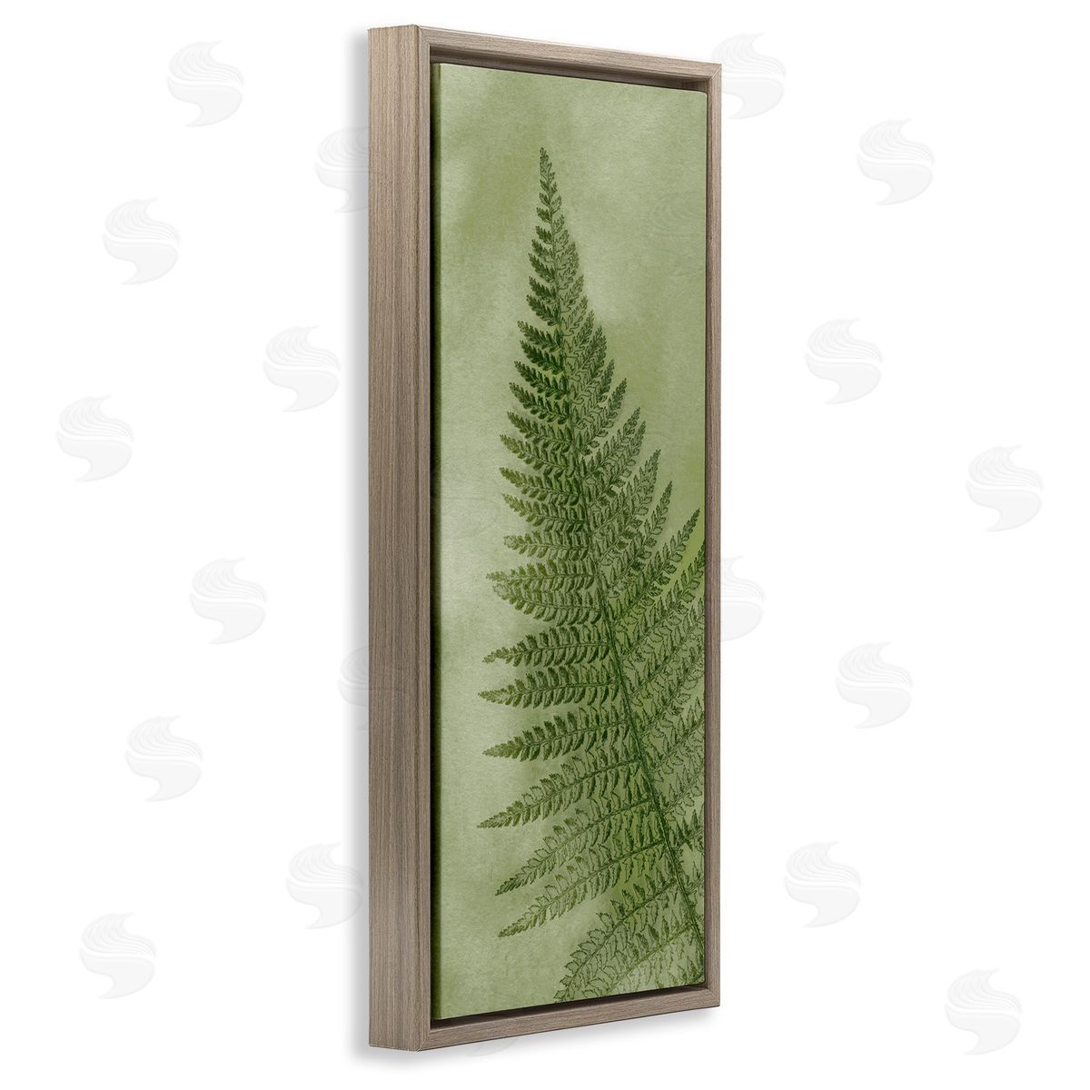 Ziwei Li Detailed Green Fern Leaf