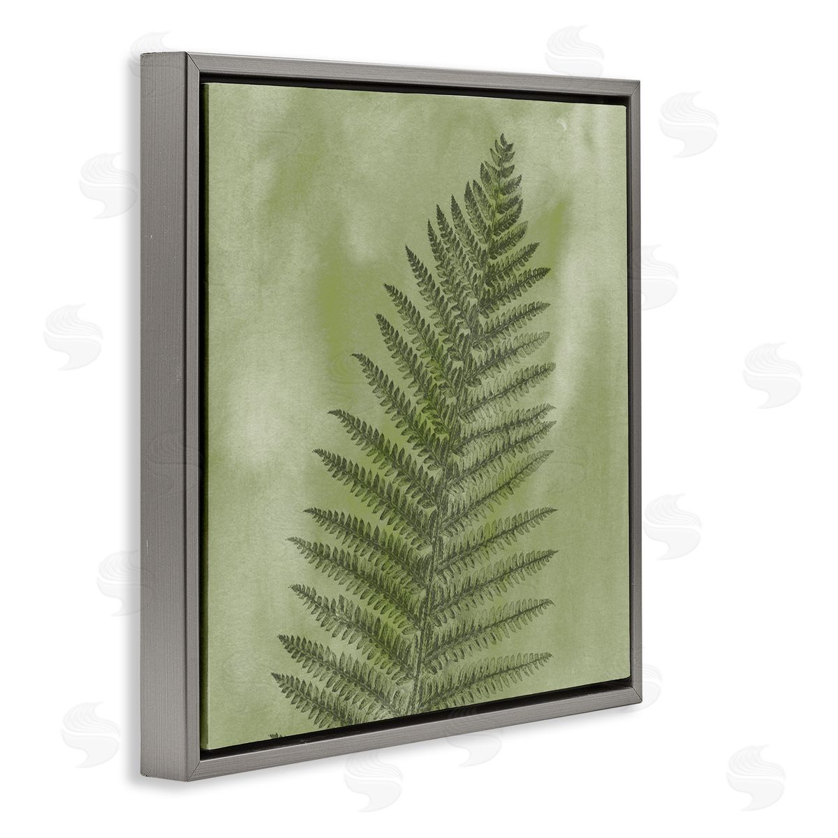 Ziwei Li Wild Nature Fern Leaf Gray Floating Frame Canvas Wall Art Print