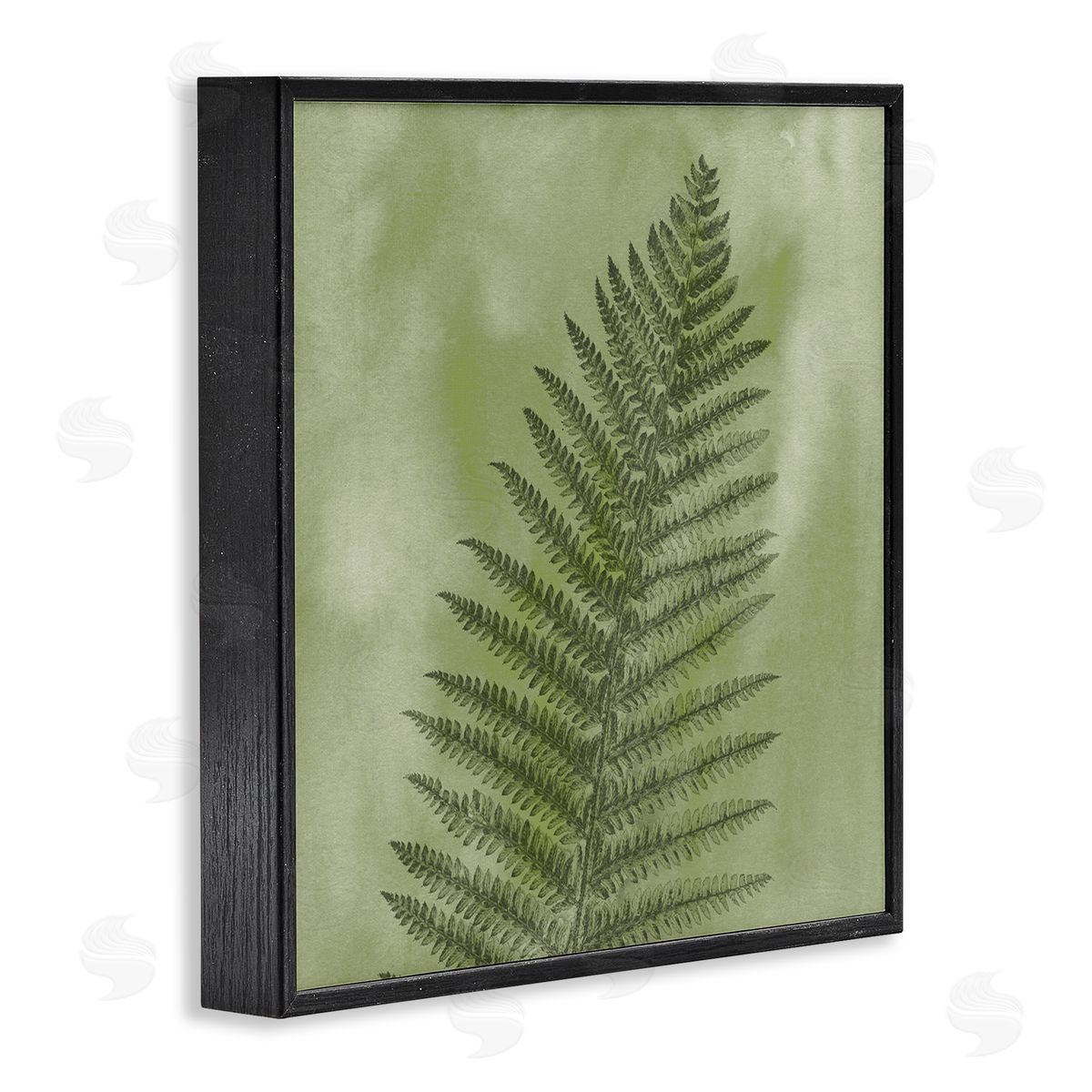 Ziwei Li Wild Nature Fern Leaf Black Framed Glicee Wall Art Print
