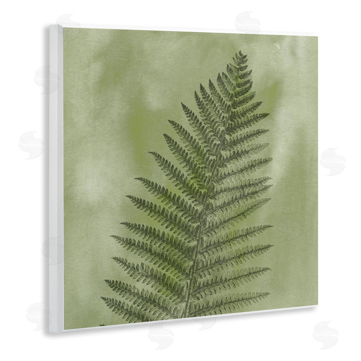 Ziwei Li Wild Nature Fern Leaf Wooden Wall Plaque Art Print