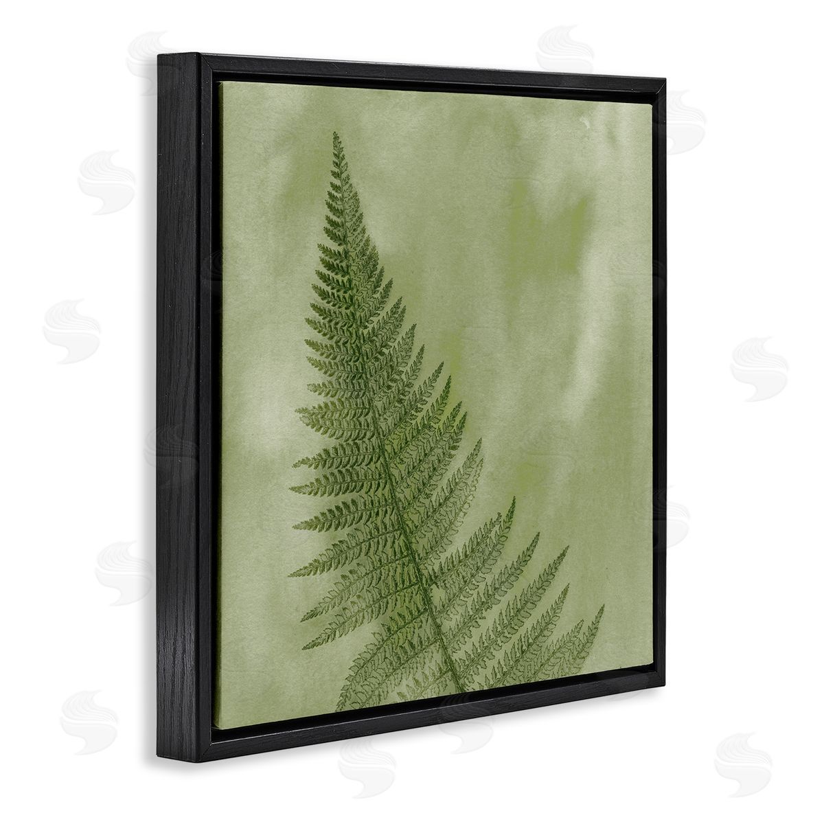 Ziwei Li Modern Fern Nature Plant Black Floating Frame Canvas Wall Art Print