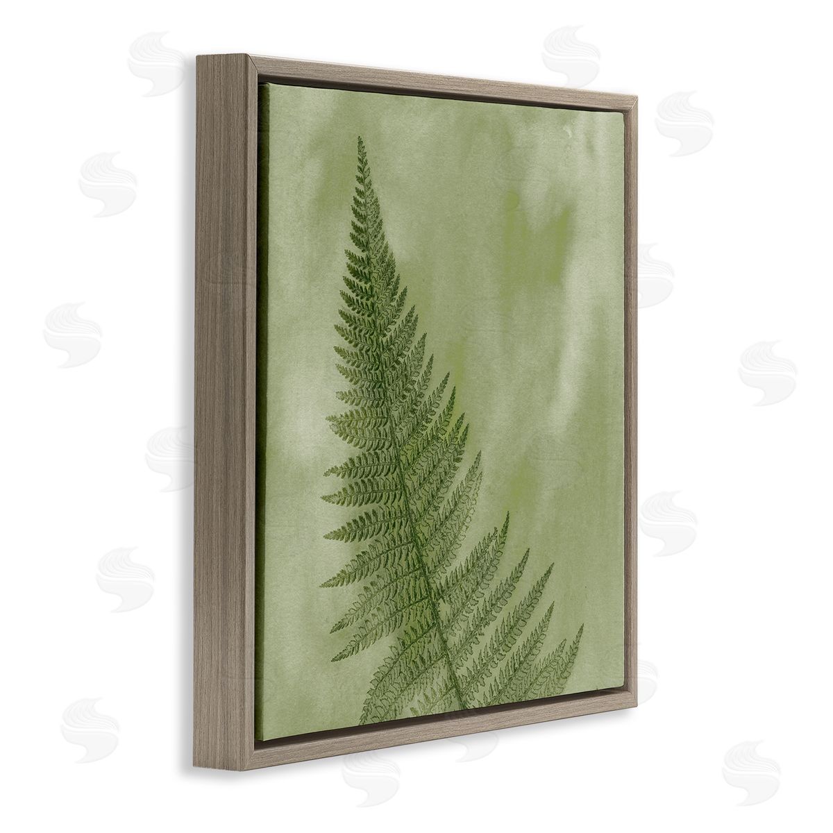 Ziwei Li Modern Fern Nature Plant Brown Floating Frame Canvas Wall Art Print