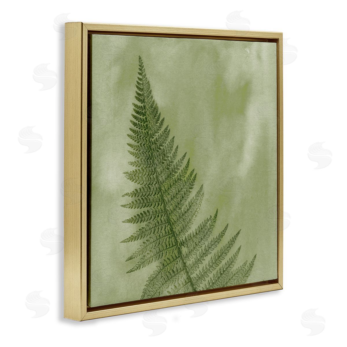 Ziwei Li Modern Fern Nature Plant Gold Floating Frame Canvas Wall Art Print