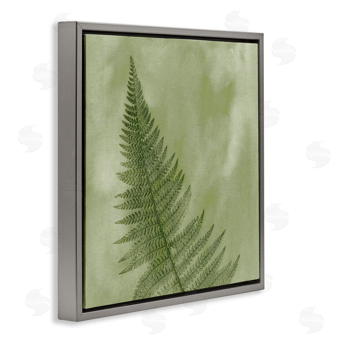 Ziwei Li Modern Fern Nature Plant Gray Floating Frame Canvas Wall Art Print
