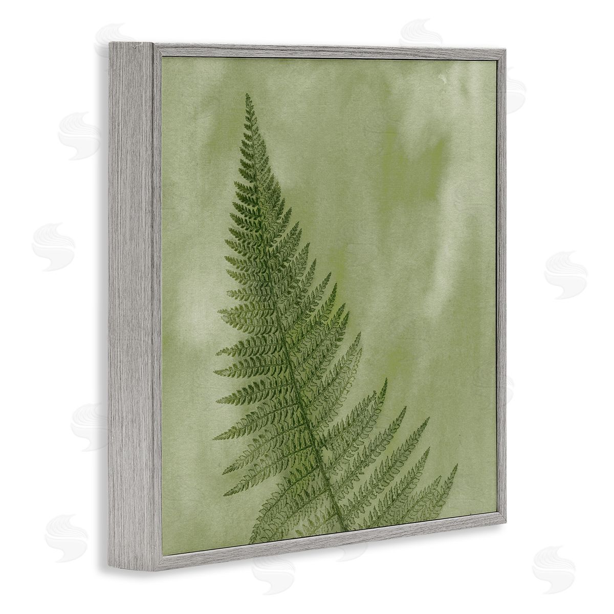 Ziwei Li Modern Fern Nature Plant Gray Framed Glicee Wall Art Print
