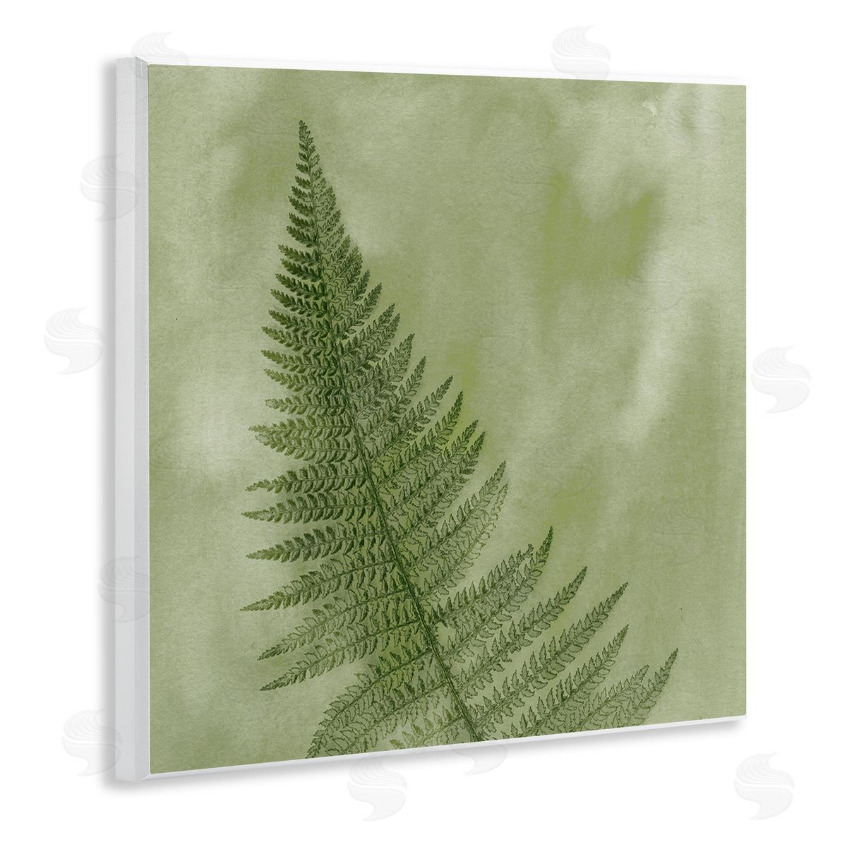 Ziwei Li Modern Fern Nature Plant Wooden Wall Plaque Art Print
