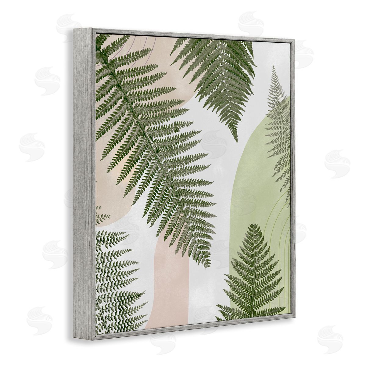 Ziwei Li Woodland Nature Fern Leaves