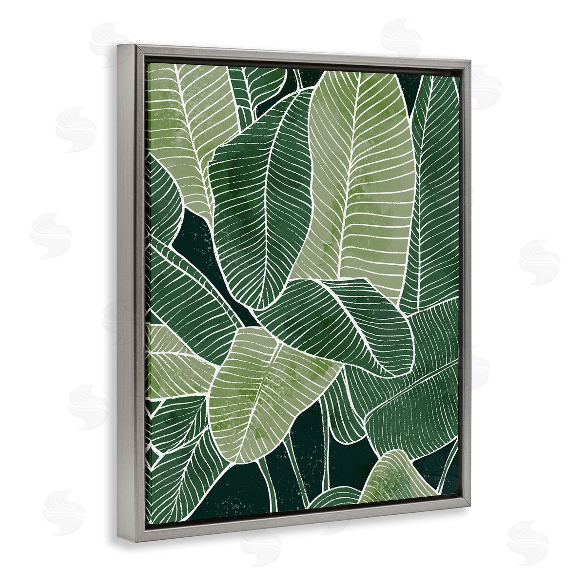 Ziwei Li Tropical Jungle Nature Leaves