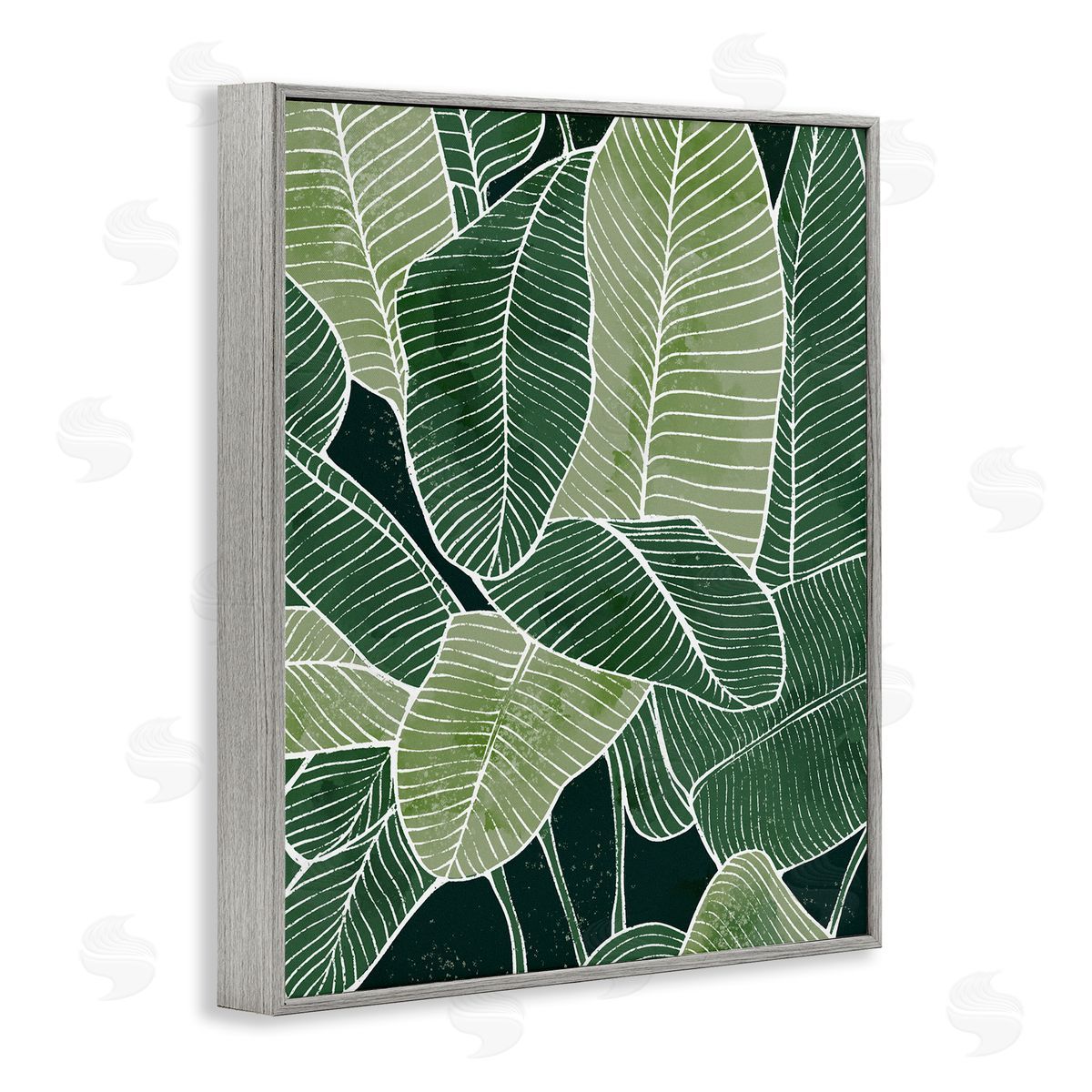 Ziwei Li Tropical Jungle Nature Leaves