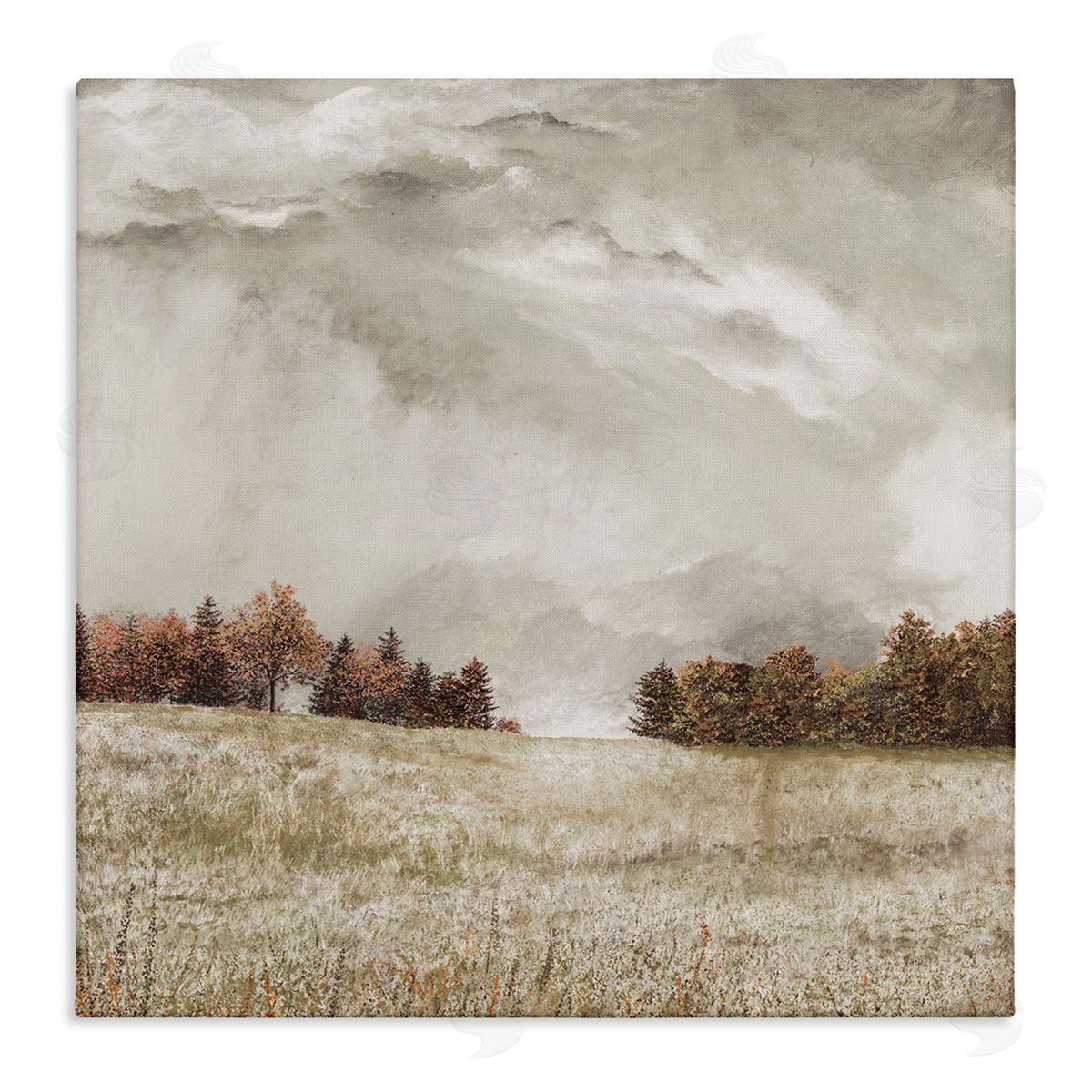 James Redding Rural Cloudy Countryside Meadow Stretched Canvas Wall Art Print