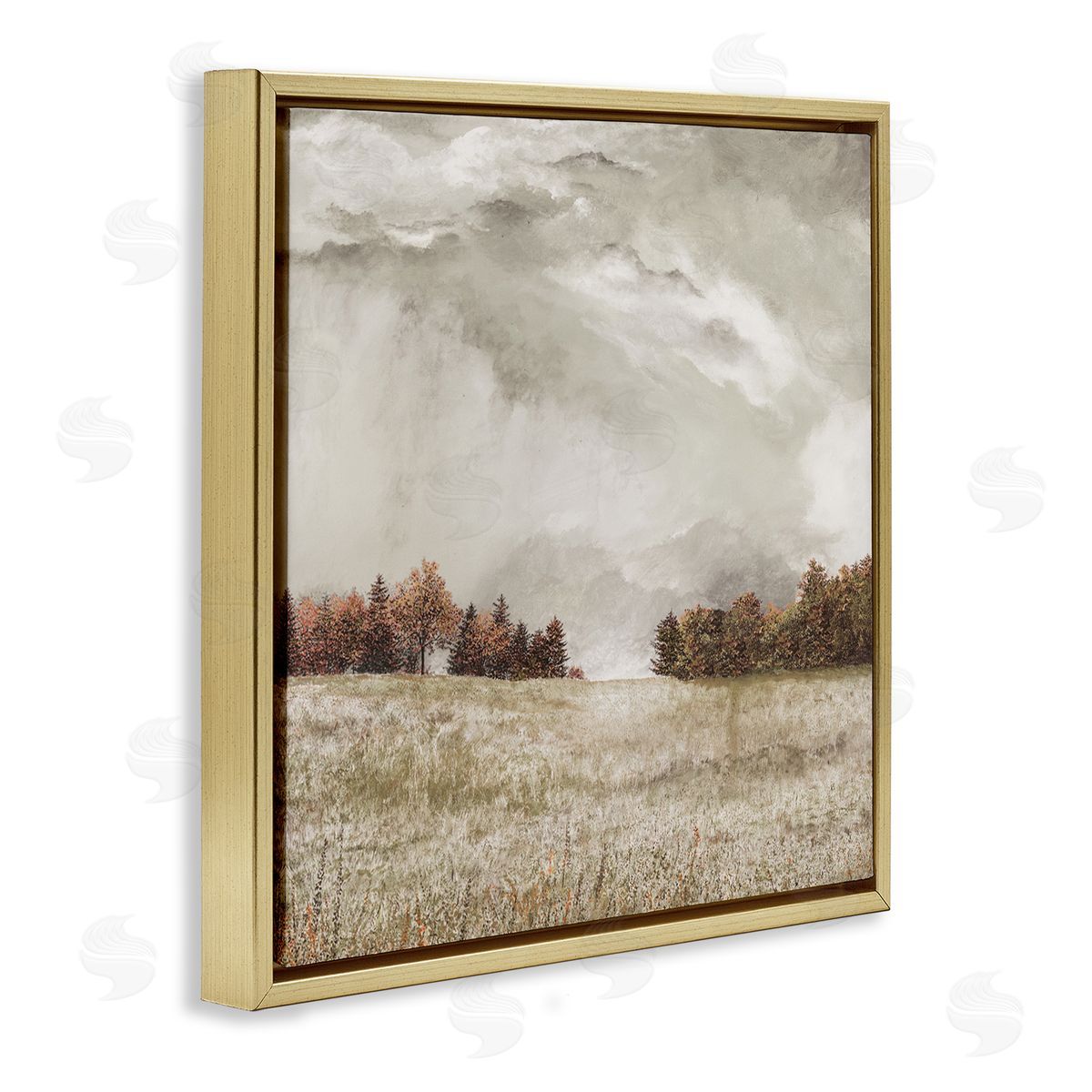 James Redding Rural Cloudy Countryside Meadow Gold Floating Frame Canvas Wall Art Print