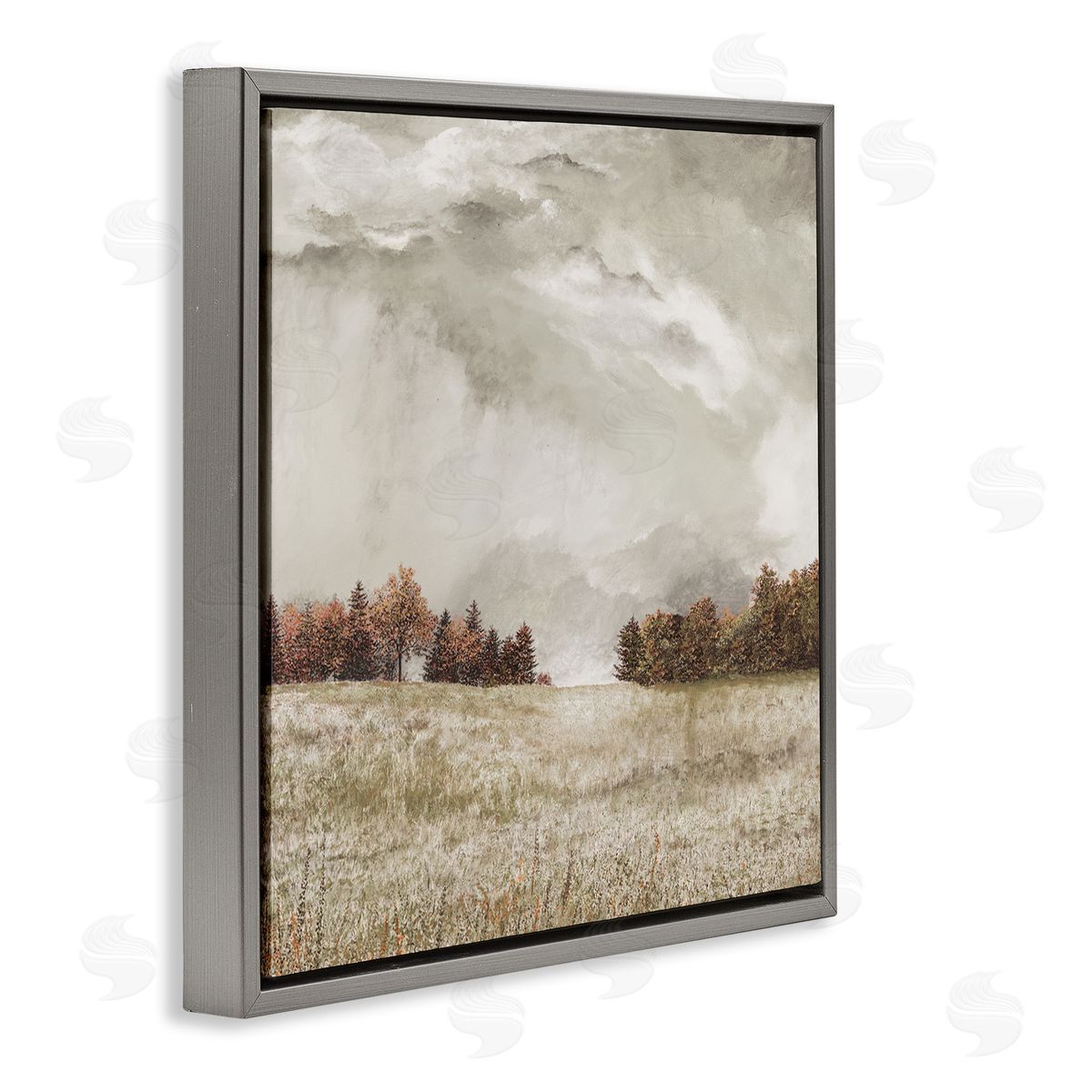 James Redding Rural Cloudy Countryside Meadow Gray Floating Frame Canvas Wall Art Print