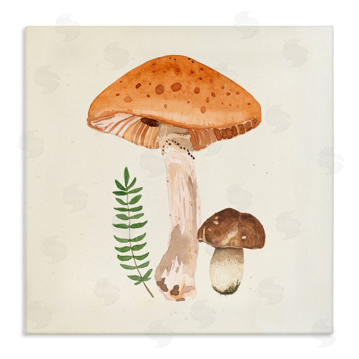 Lucca Sheppard Woodland Mushroom Botanical Fern Stretched Canvas Wall Art Print