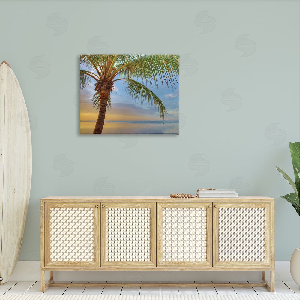 Jack Reed Sunrise Palm Tree Sky Reflection