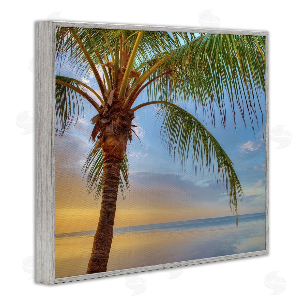 Jack Reed Sunrise Palm Tree Sky Reflection