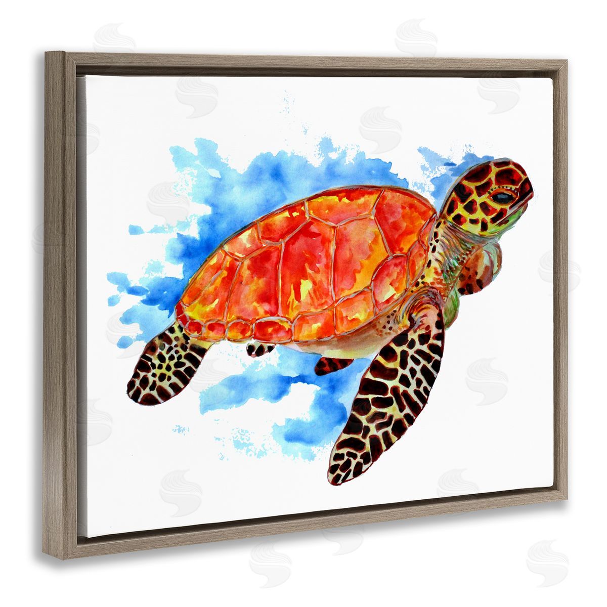 Sebastian Grafmann Bold Orange Nautical Turtle