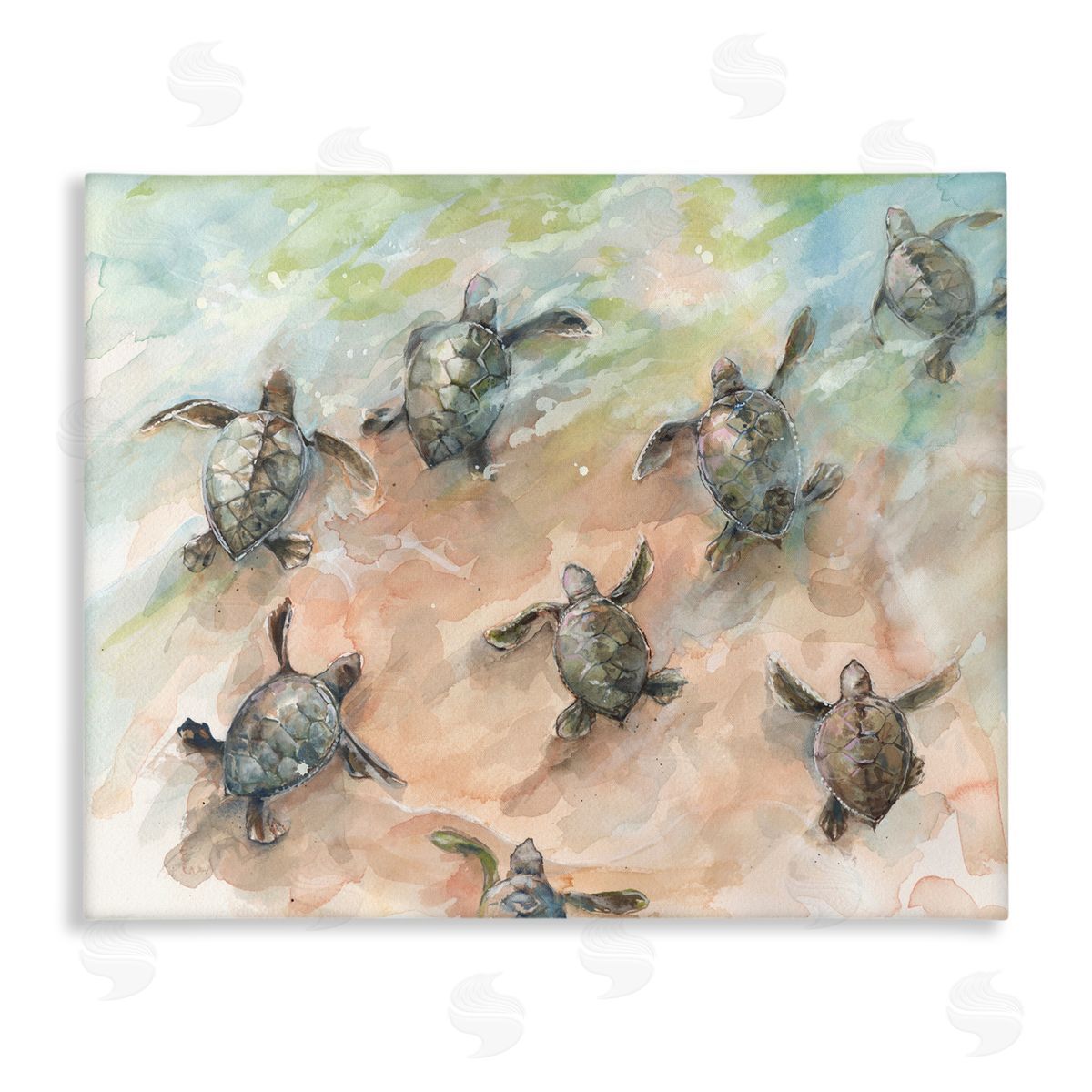 Diannart Baby Sea Turtles Swimming Shore