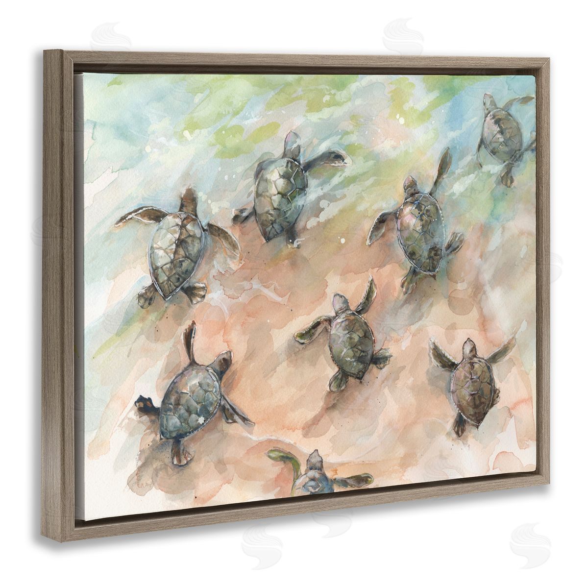 Diannart Baby Sea Turtles Swimming Shore