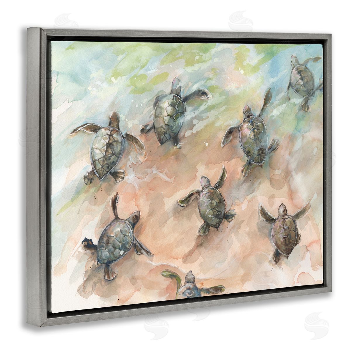 Diannart Baby Sea Turtles Swimming Shore