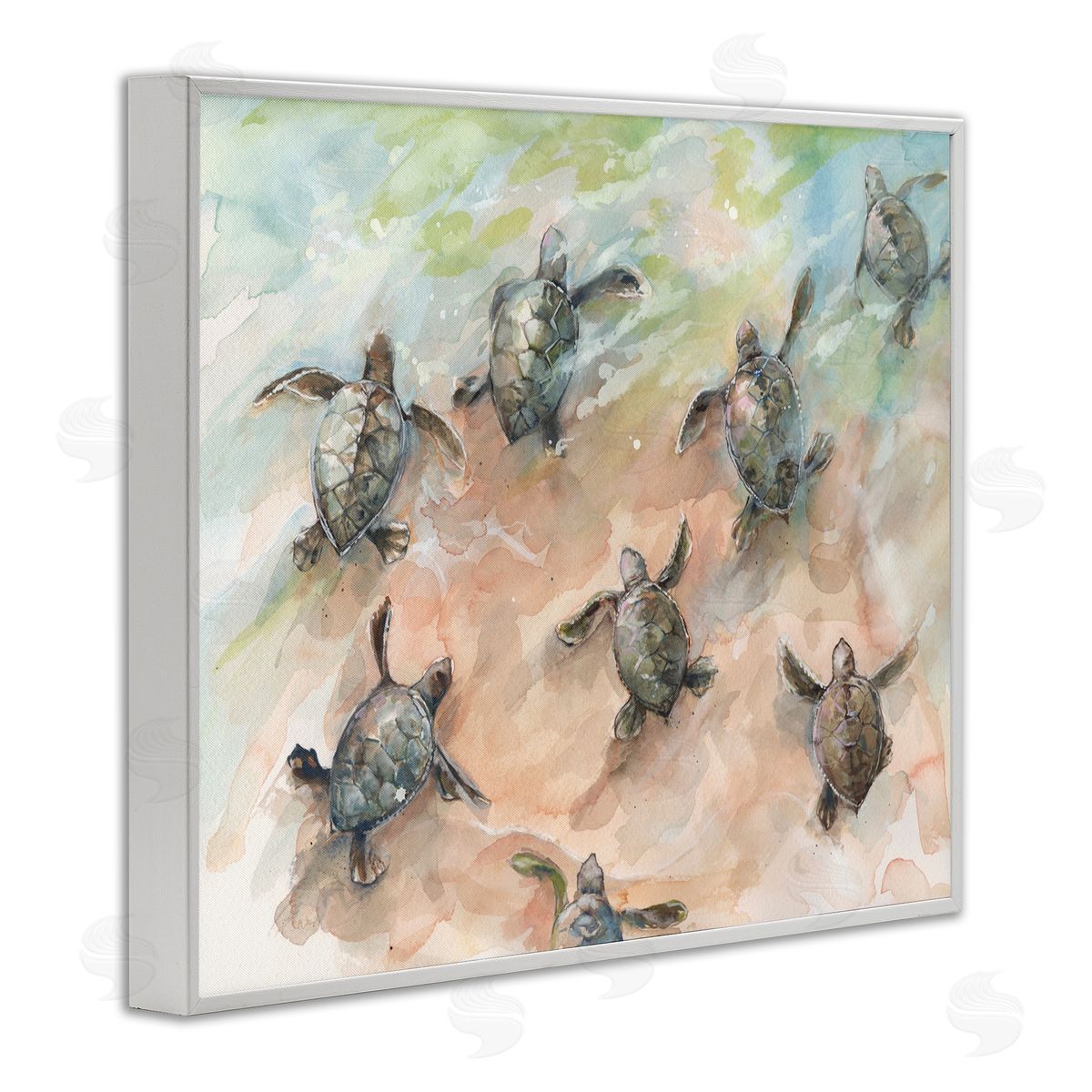 Diannart Baby Sea Turtles Swimming Shore