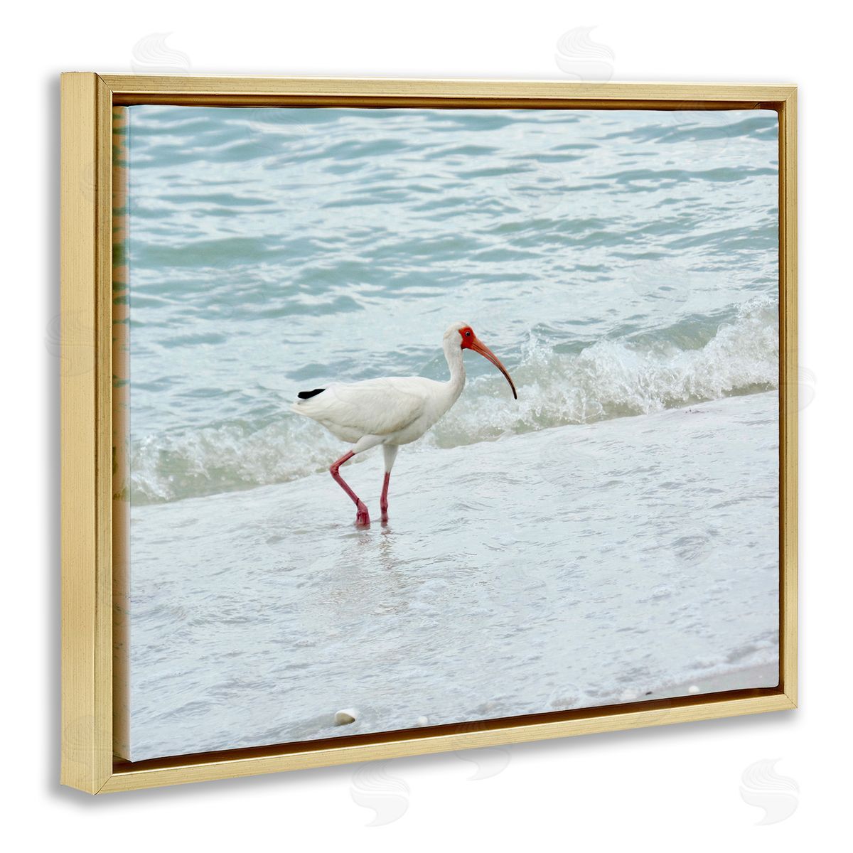 Jairo Rodriguez Bird Stepping Sea Waves Splash