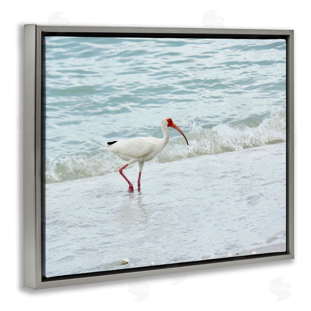 Jairo Rodriguez Bird Stepping Sea Waves Splash