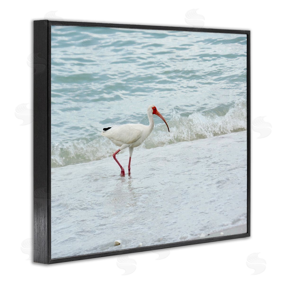 Jairo Rodriguez Bird Stepping Sea Waves Splash