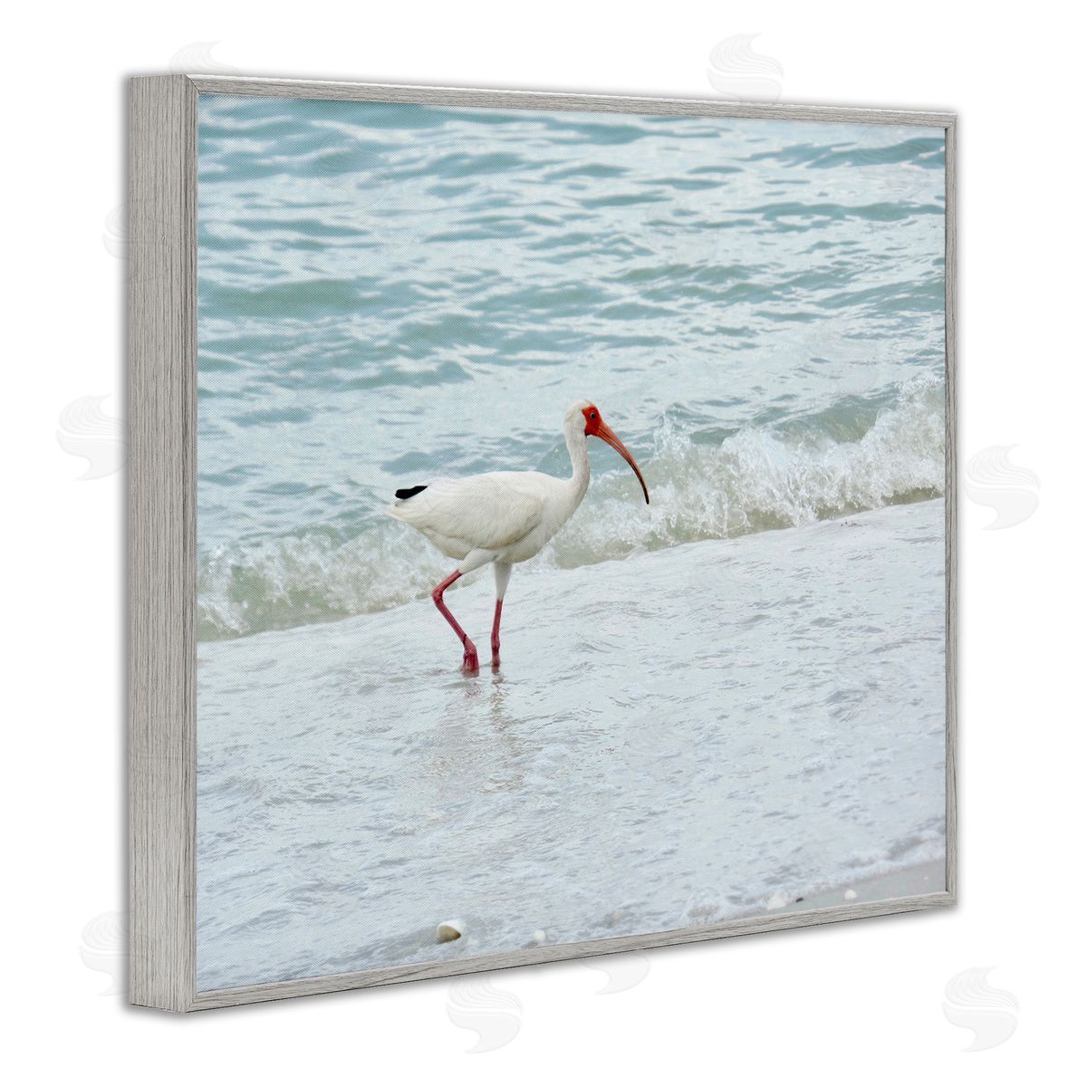 Jairo Rodriguez Bird Stepping Sea Waves Splash