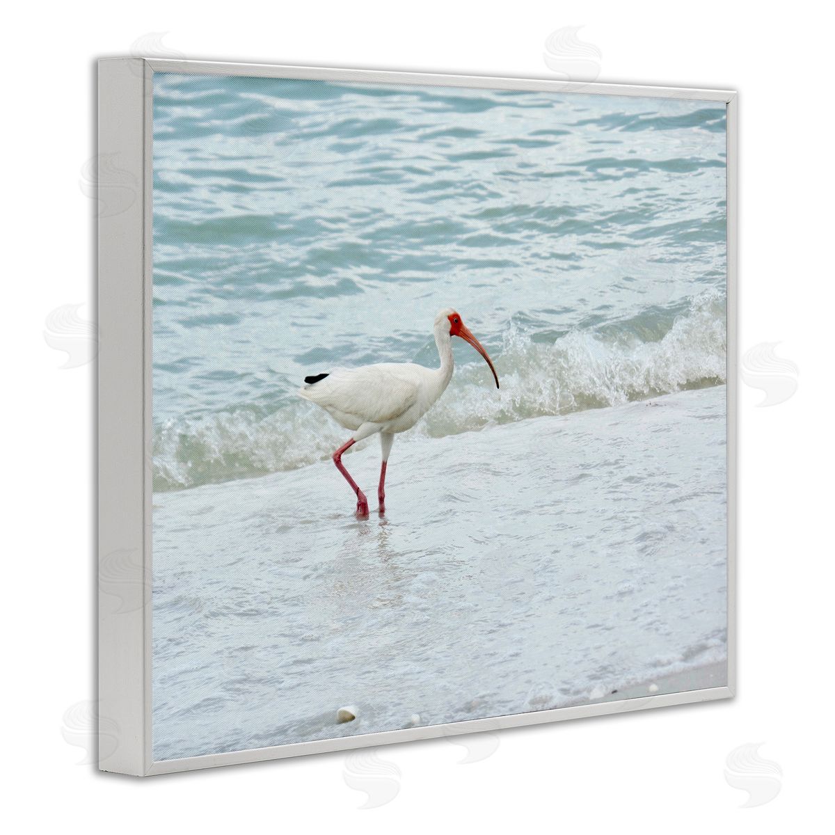 Jairo Rodriguez Bird Stepping Sea Waves Splash